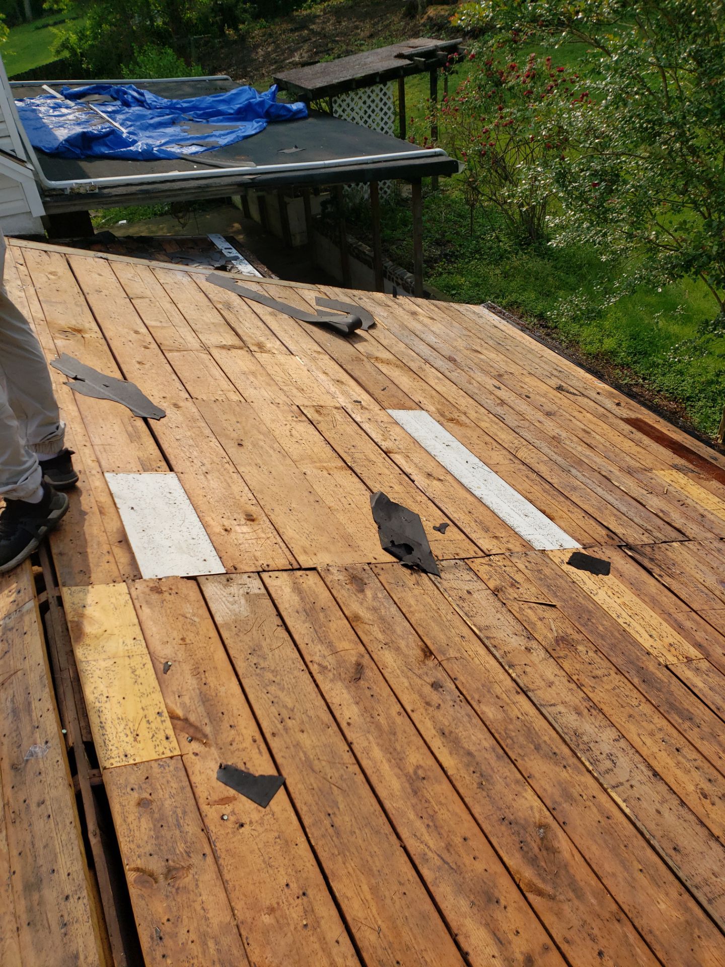 Project by Elvis General Construction LLC by Elvis General Construction LLC