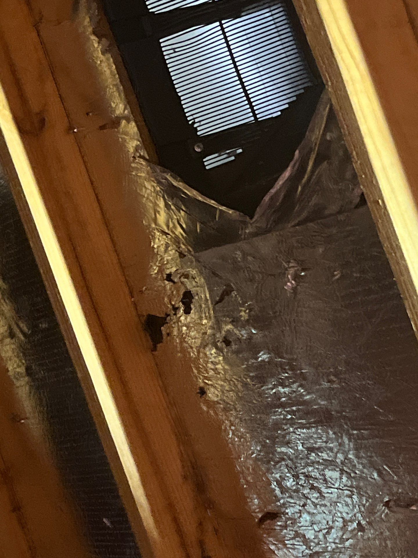 Hail Damage using Owen's Corning Duration (Lifetime) Shingles by Roof Repair Company