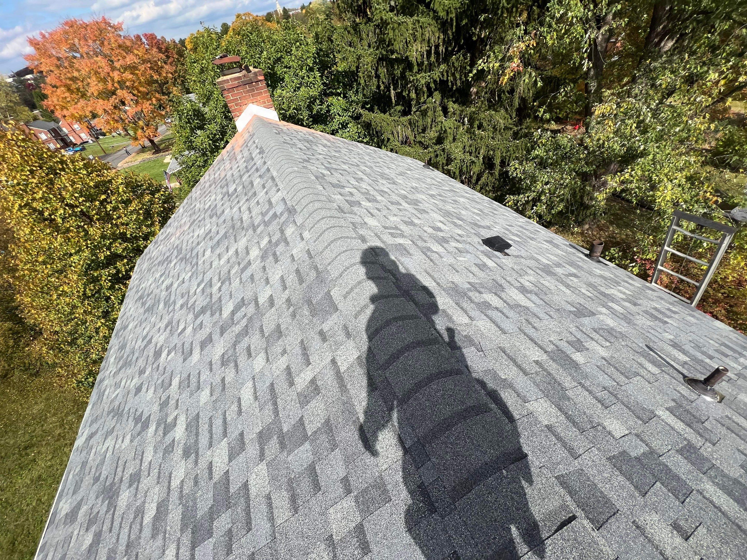 Silver Birch Shingles by Reimagine Roofing