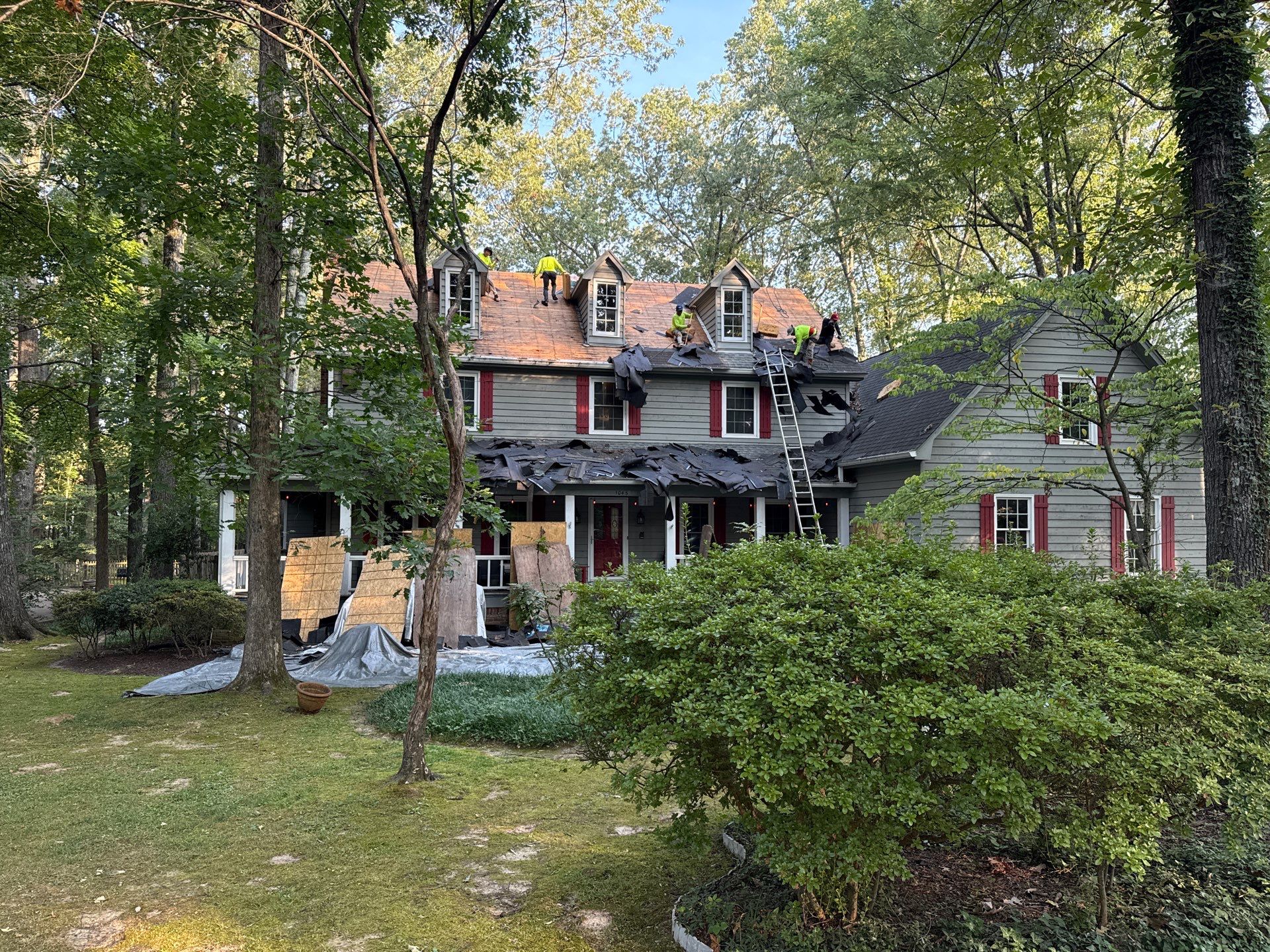 Collierville Roof Replacement Following Major Tree Impact Damage with interior repairs by Revival Roofing Services