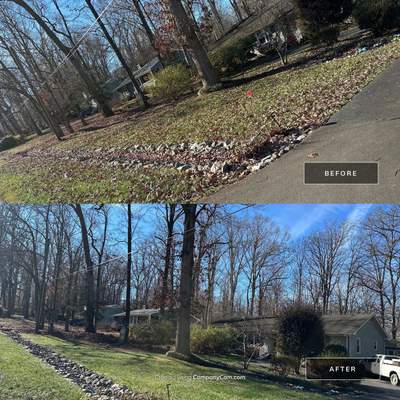 Leaf removal in Hillsborough