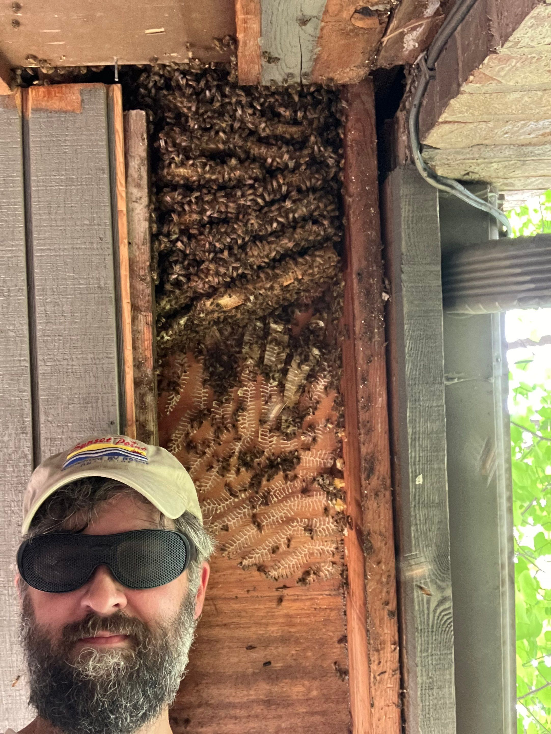 Love this house! by Rockwall Honey Bee Company