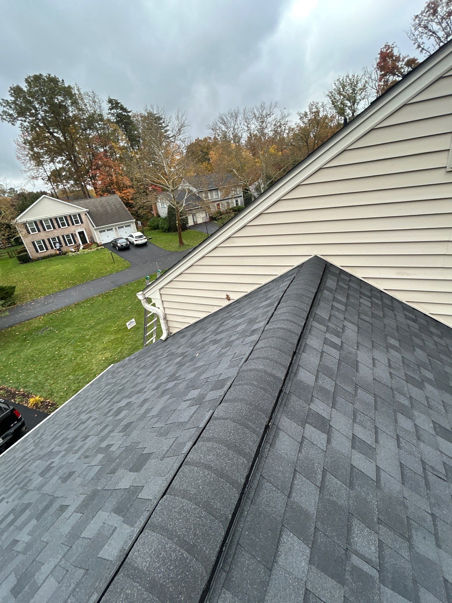 Alexandria :Residential Roof Replacement with CertainTeed Landmark Pro in Max Def Moire Black  by RM Banning, Inc.