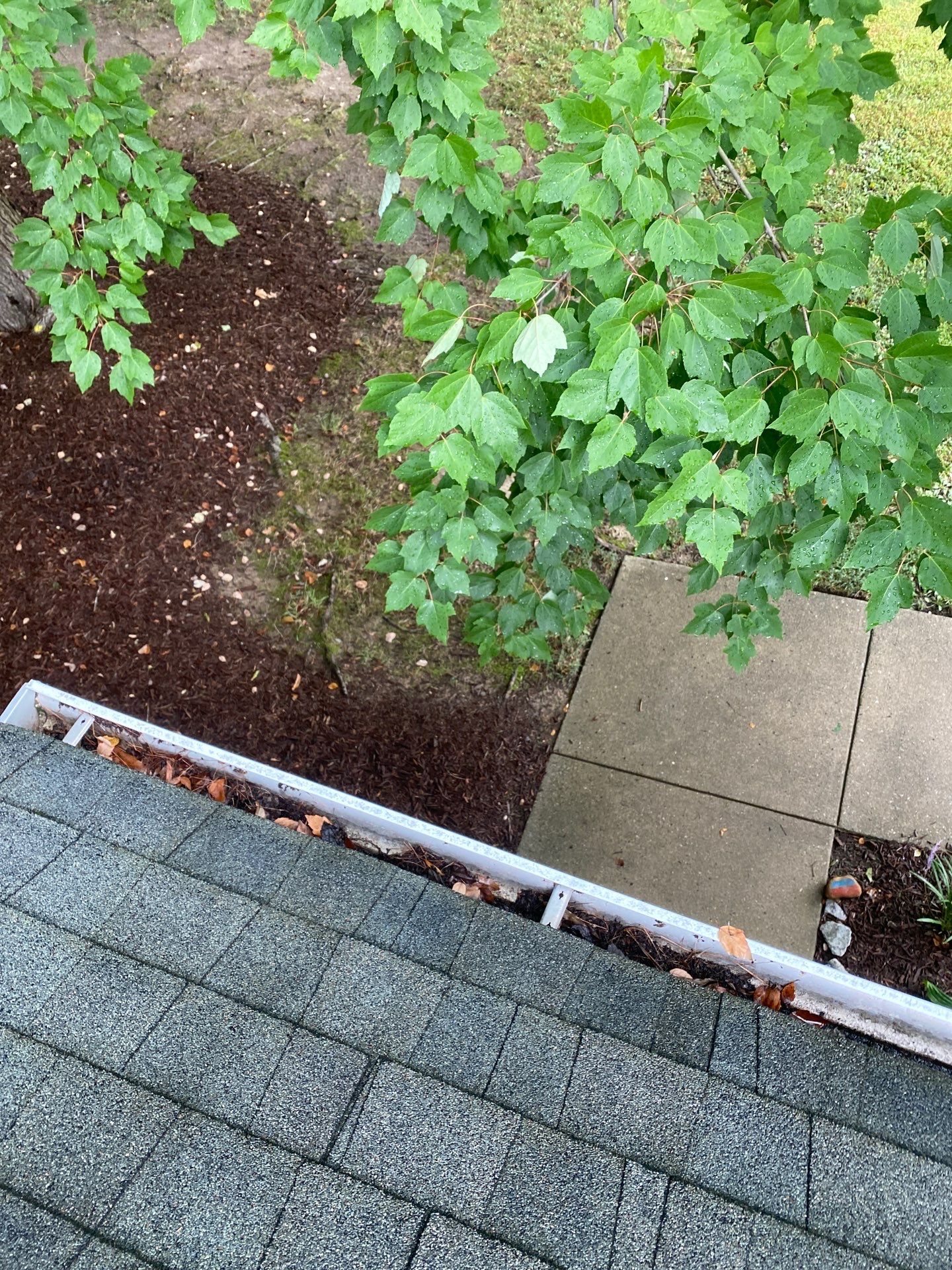 HOA gutter cleaning in Fuquay-Varina & Holly Springs, NCbefore photo showing full gutters.
