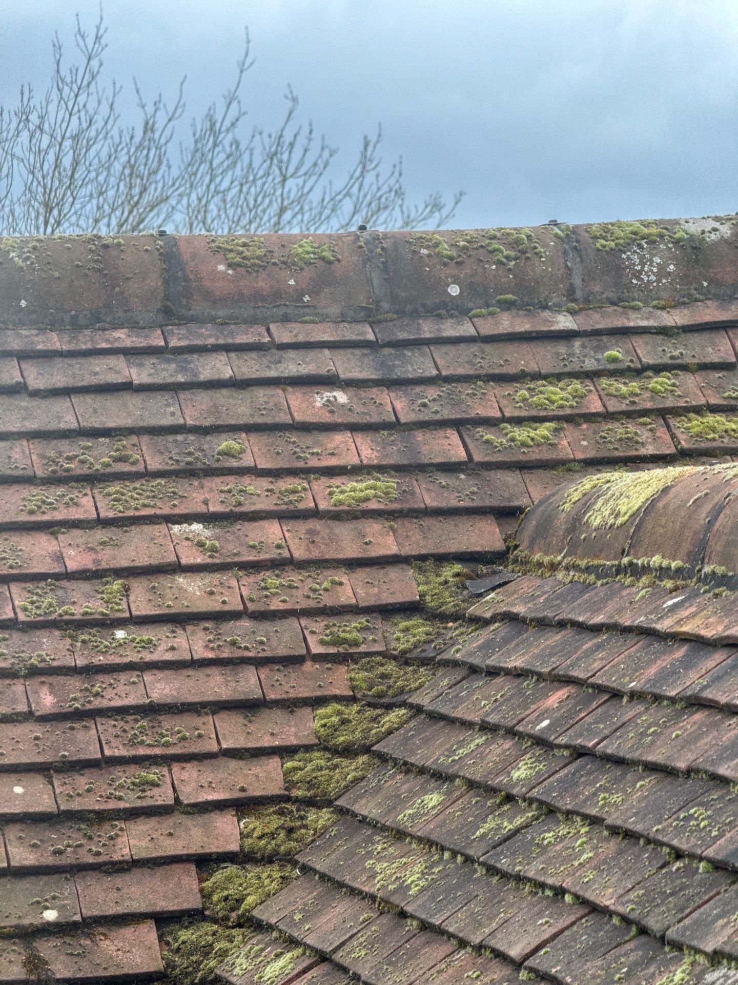 Roof Clean  - Moss Removal - Gutter Clean using Honda 15lpm Low Pressure Washing Machine by Ges Exterior Cleaning ltd