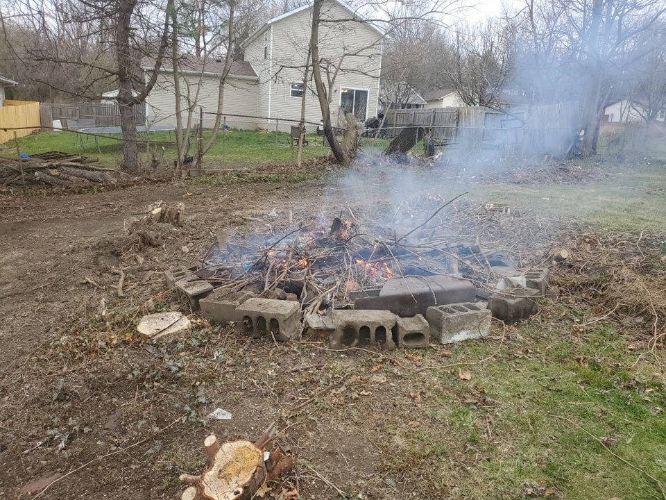 Tree Removal using Tree Removal by Mike Jones & Sons Tree Service LLC 