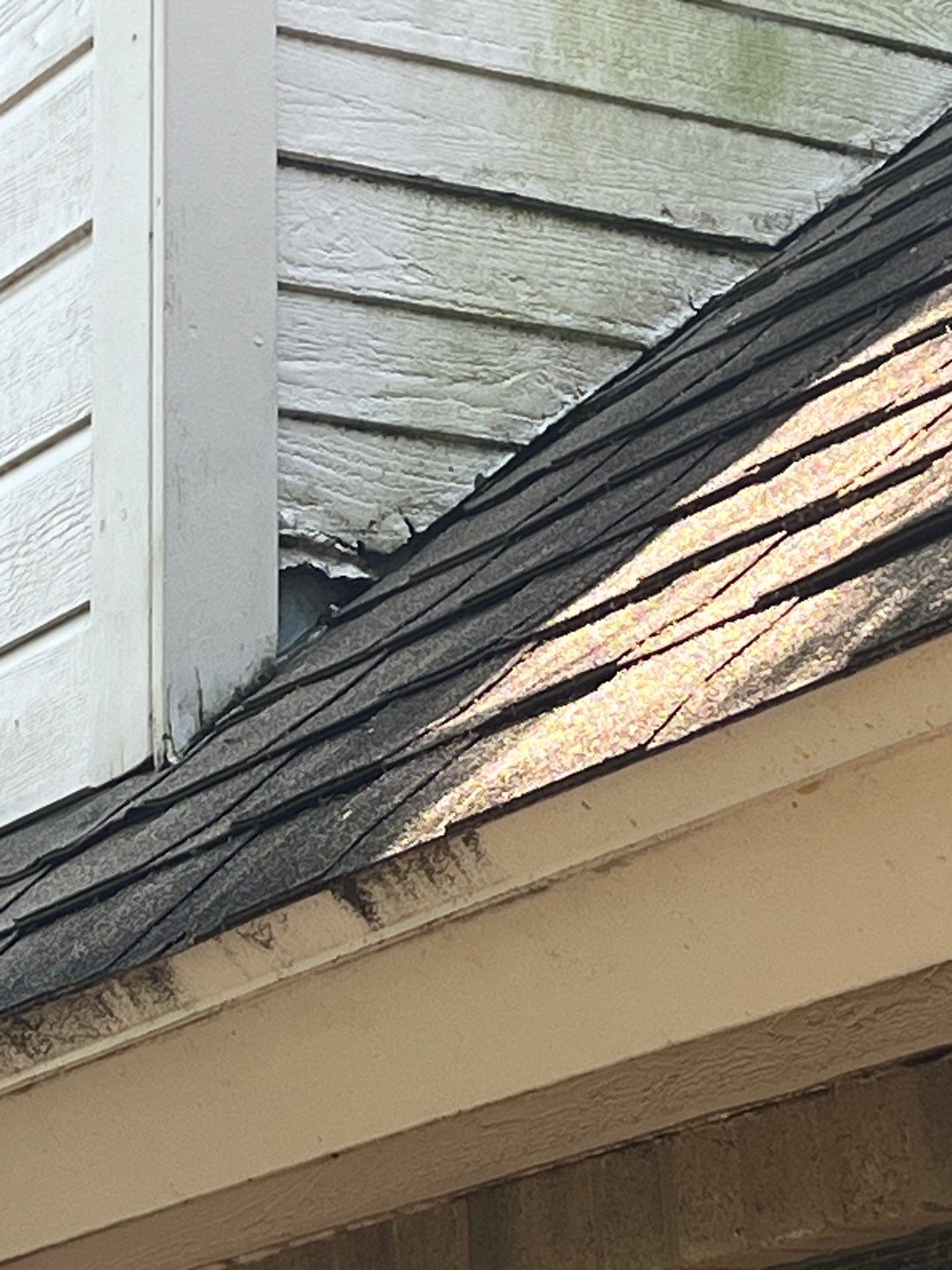 Grey is the new Black by Bayfront Roofing and Construction