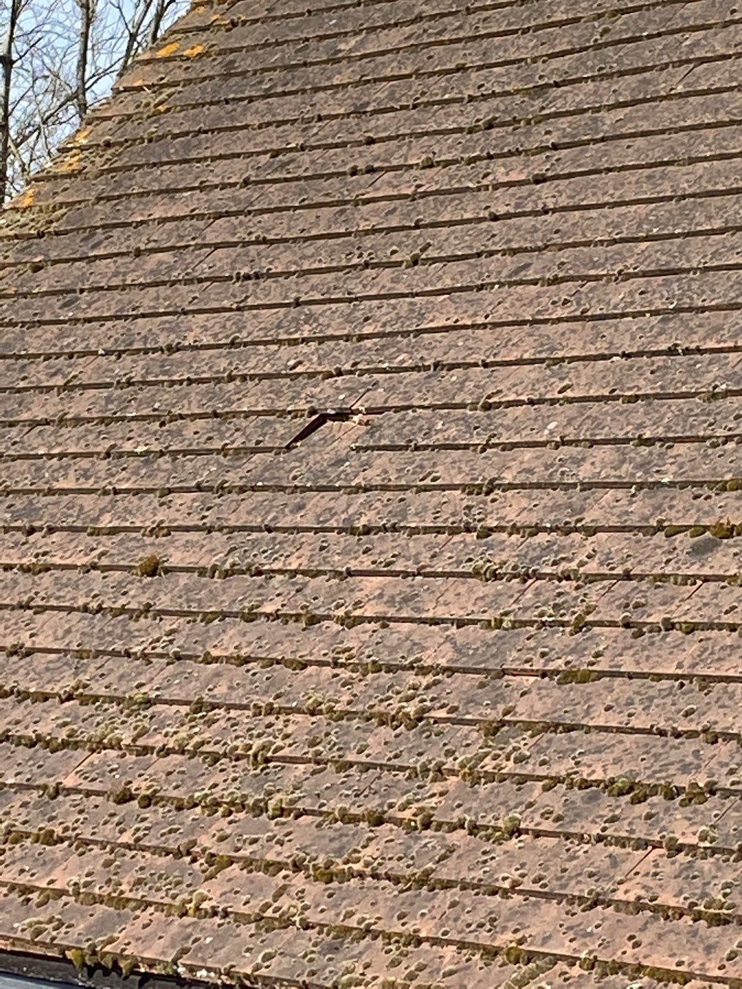 Roof Clean - Moss Removal using Honda 15lpm Low Pressure Washing Machine by Ges Exterior Cleaning ltd