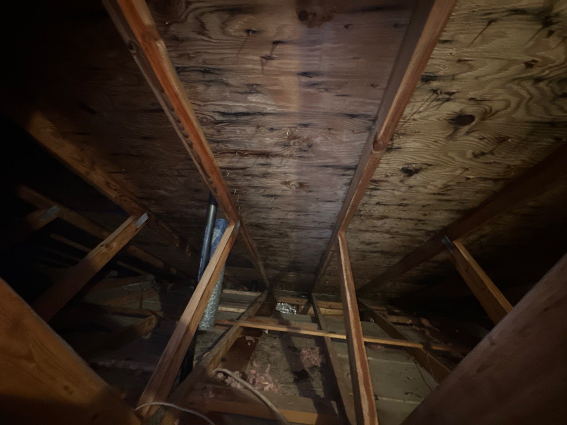Addressing Attic Mold and Upgrading Insulation in Cranberry Township, PA 16066 by Home Environment Solutions
