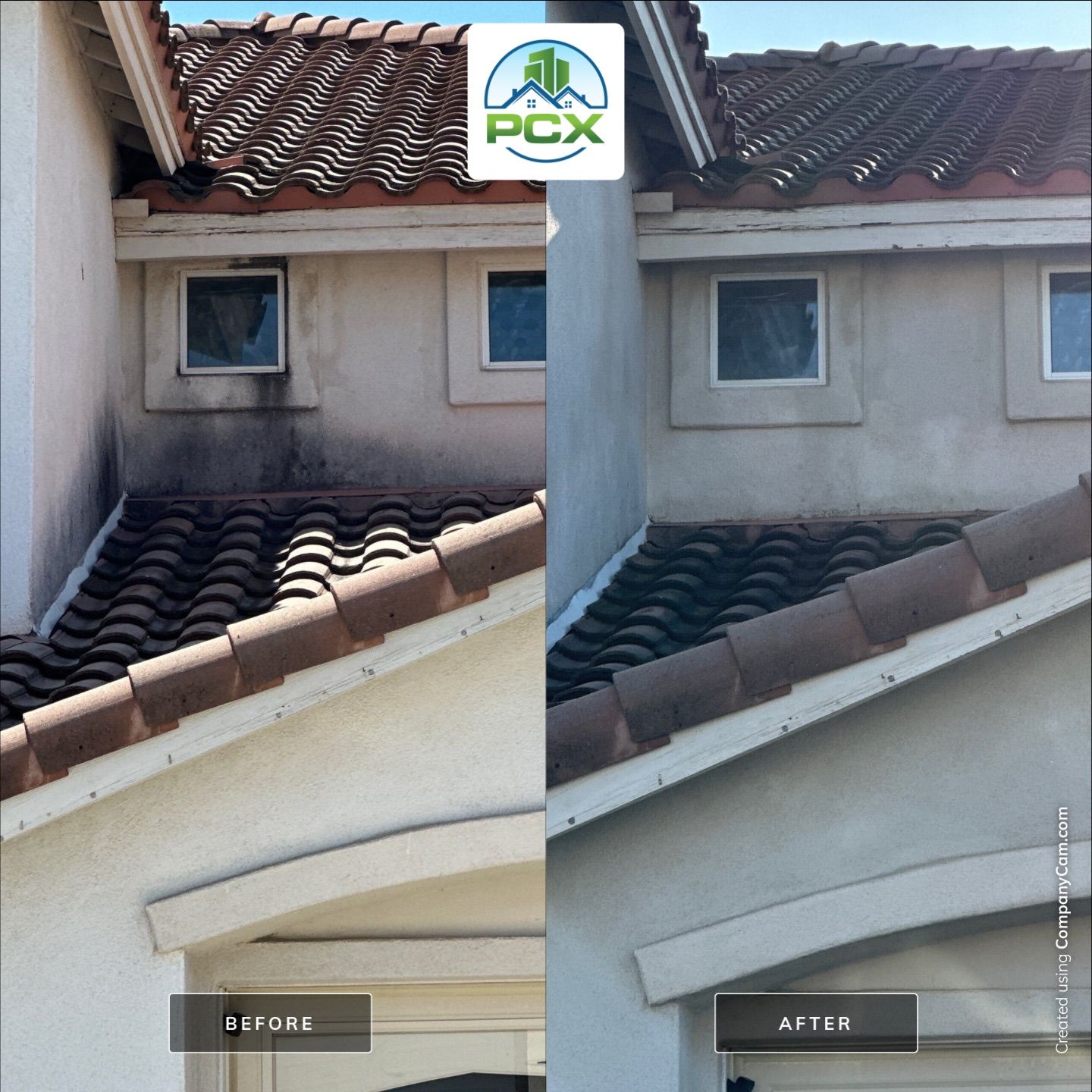 This home was COVERED in growth by Property Cleaning Experts