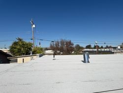 Completed roofing project by Alpha Eagle Roofing in Newark, CA (photo 3)