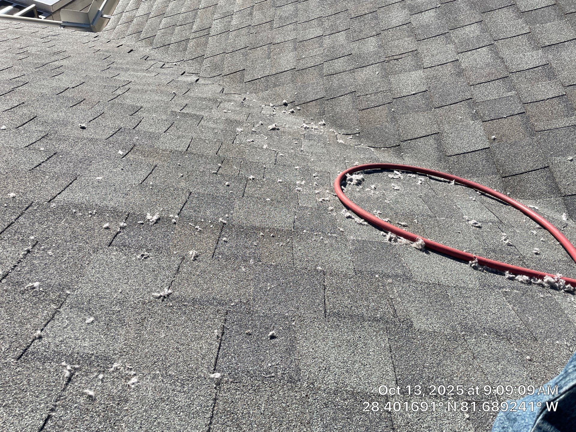 Dryer Vent Cleaning in Clermont by Hygienic Air, Inc