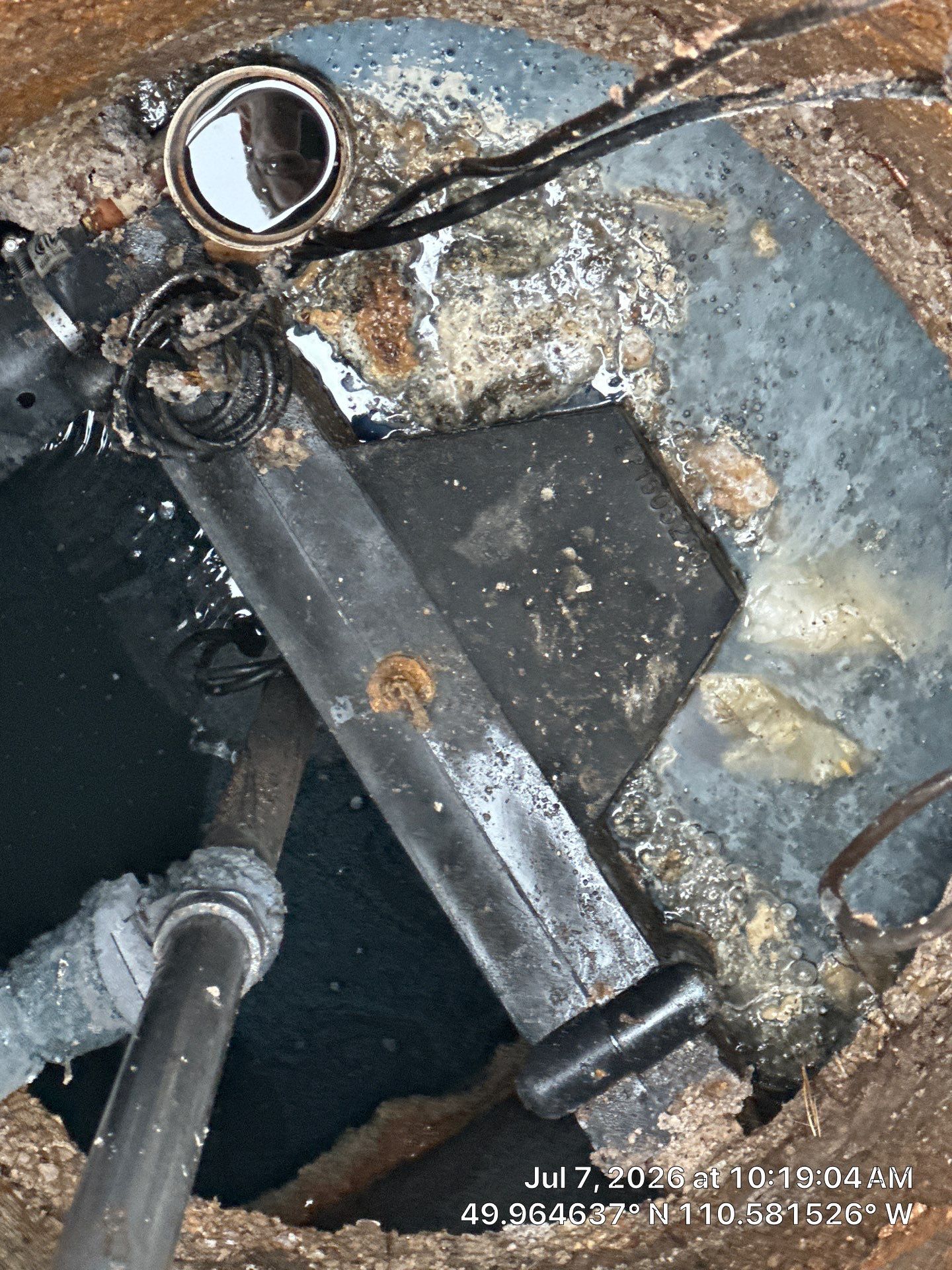 Septic System Pump Replacement and Sewer Line Root Removal in Dunmore by Septic Medic Inc.