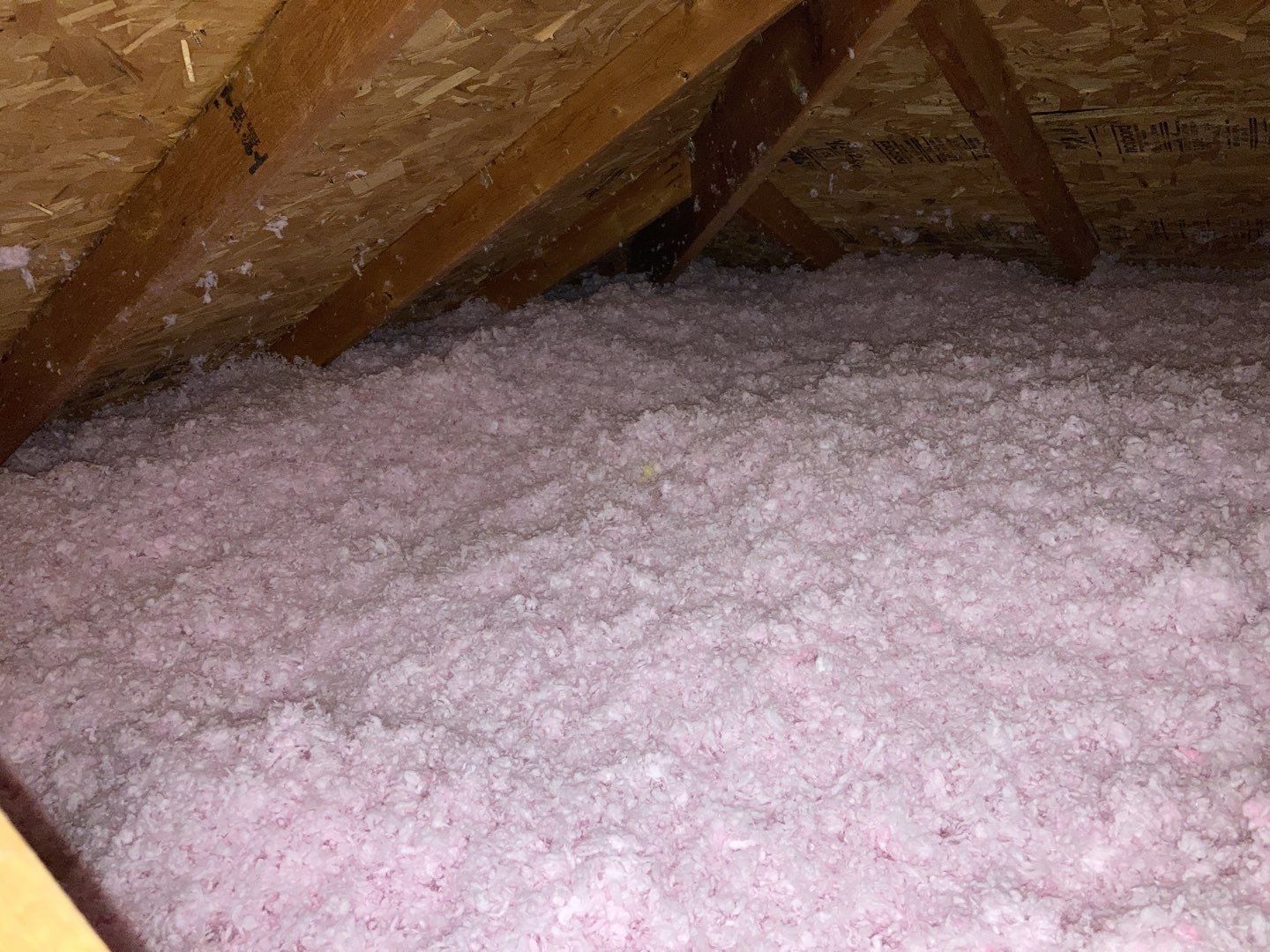Mold Remediation Cleanup in Attic by Accountable Home Services