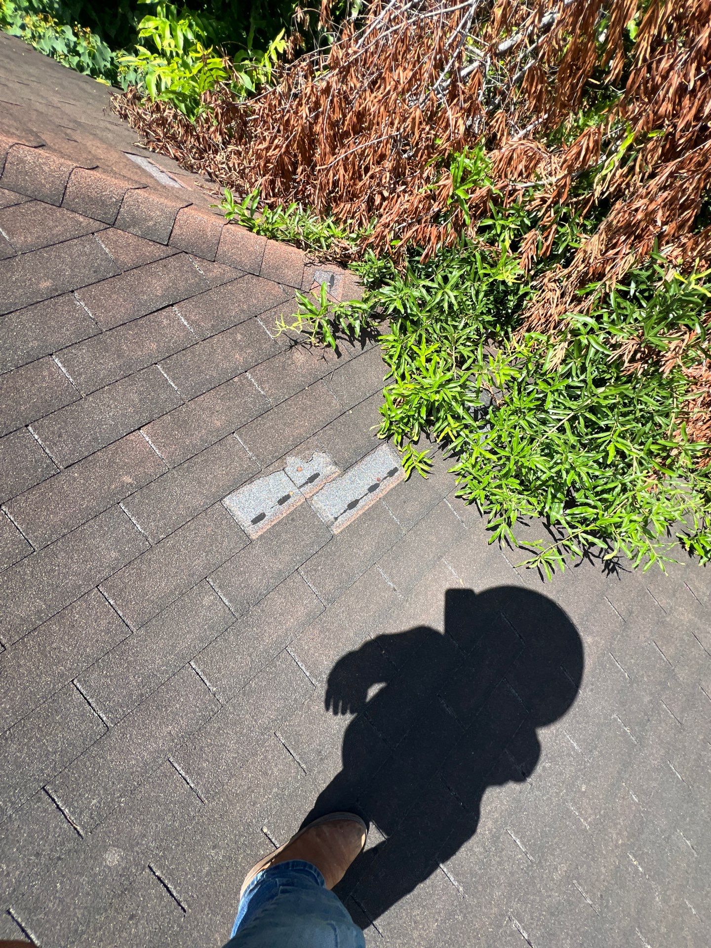 Residential Roofing Repair using Owen's Corning Duration (Lifetime) Shingles by Roof Repair Company