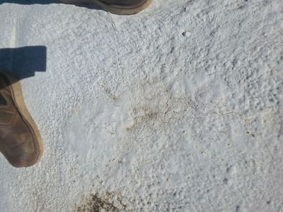 Project in Palm Springs