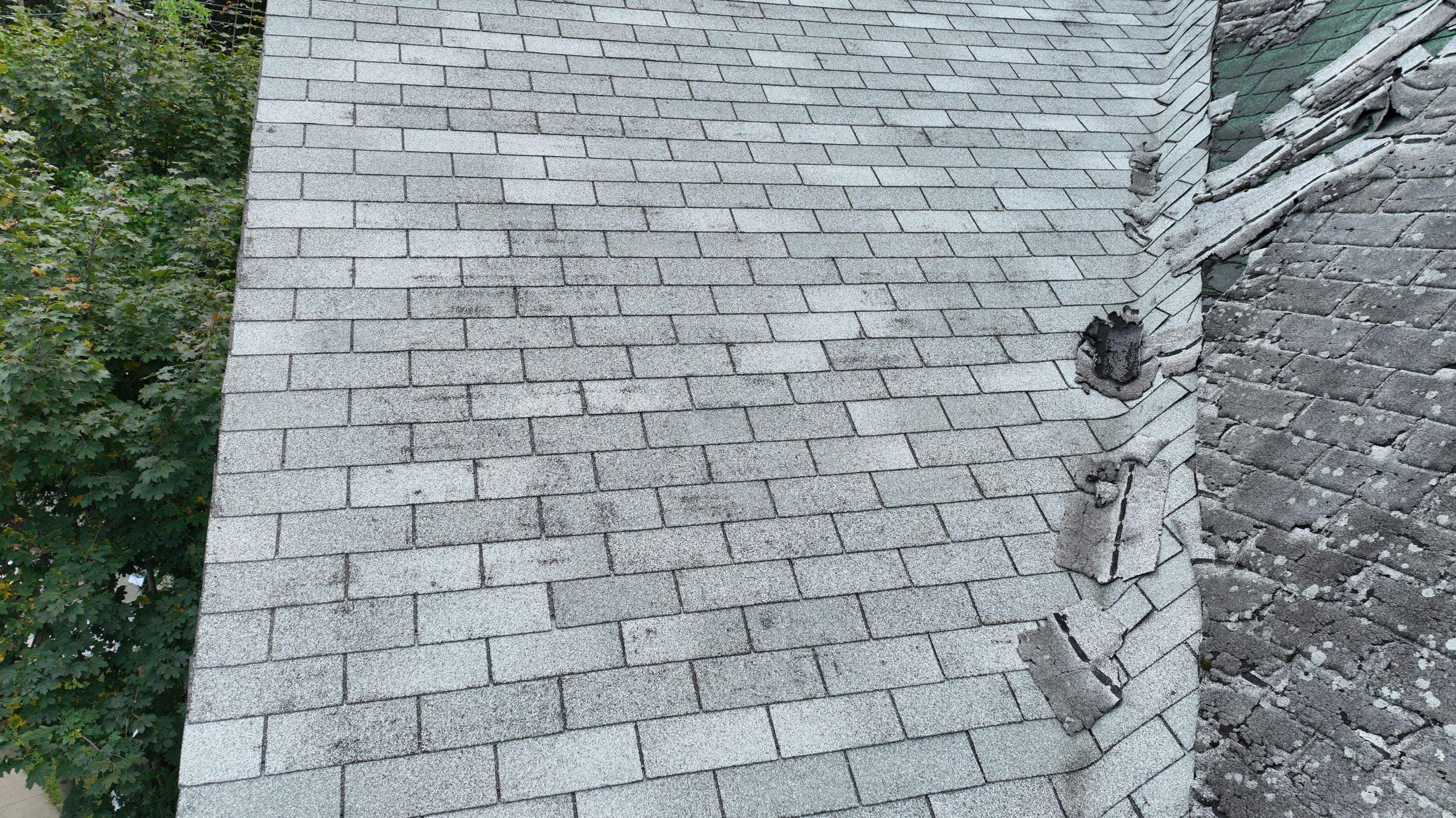 Residential Roofing Installation using Owens Corning TruDefinition by A Plus Exterior