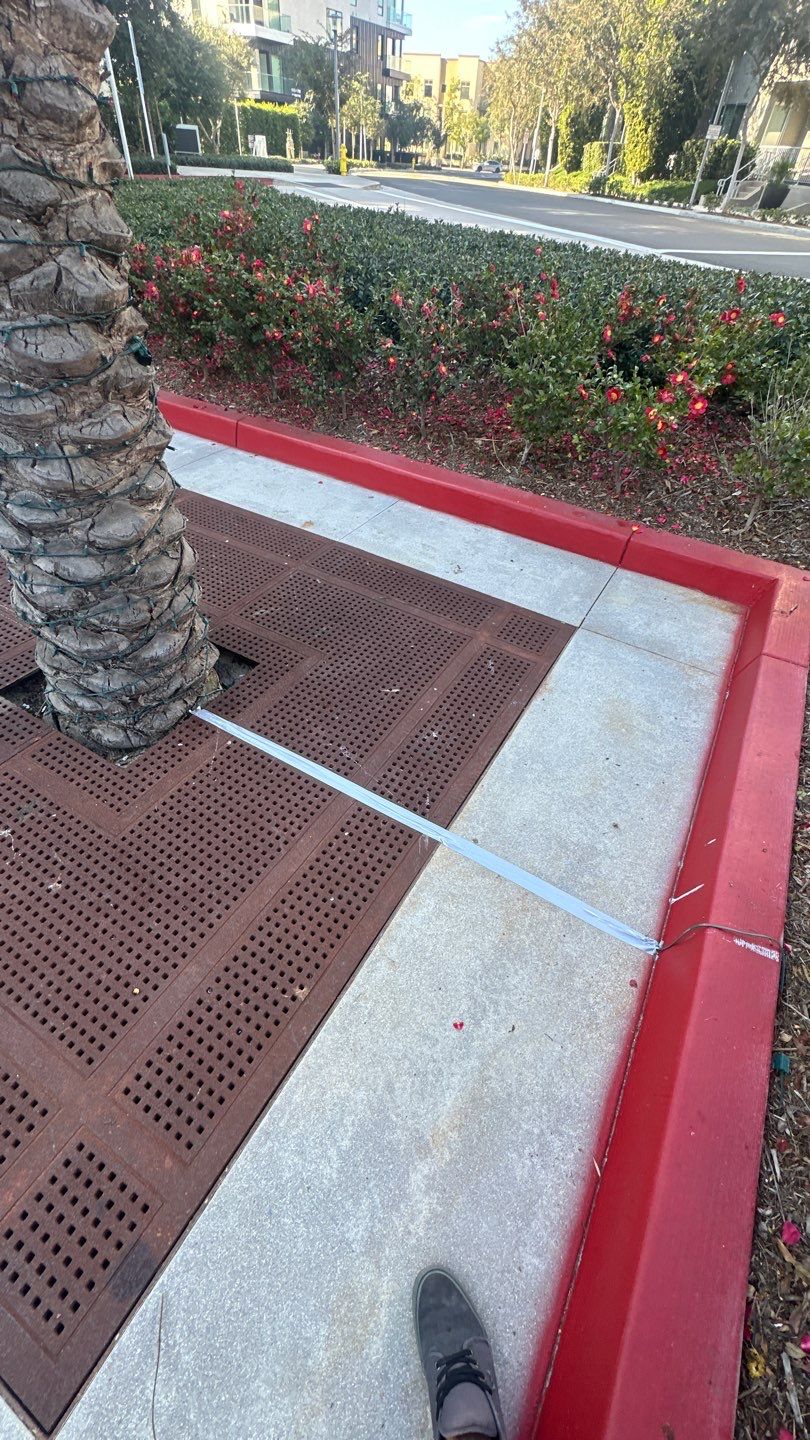 Newport HOA Holiday Lighting by Property Cleaning Experts