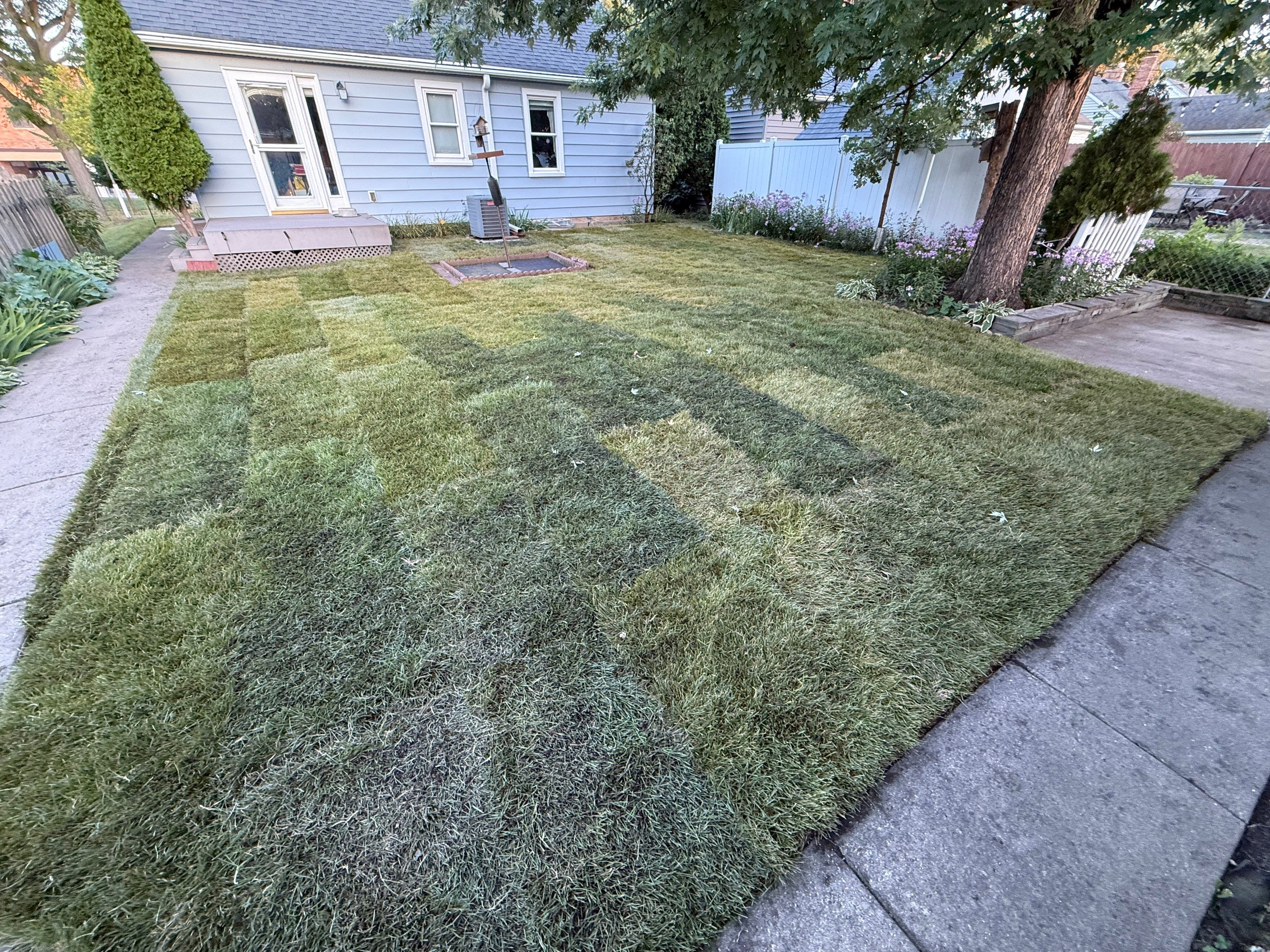 Sod Replacement by Sota landscaping