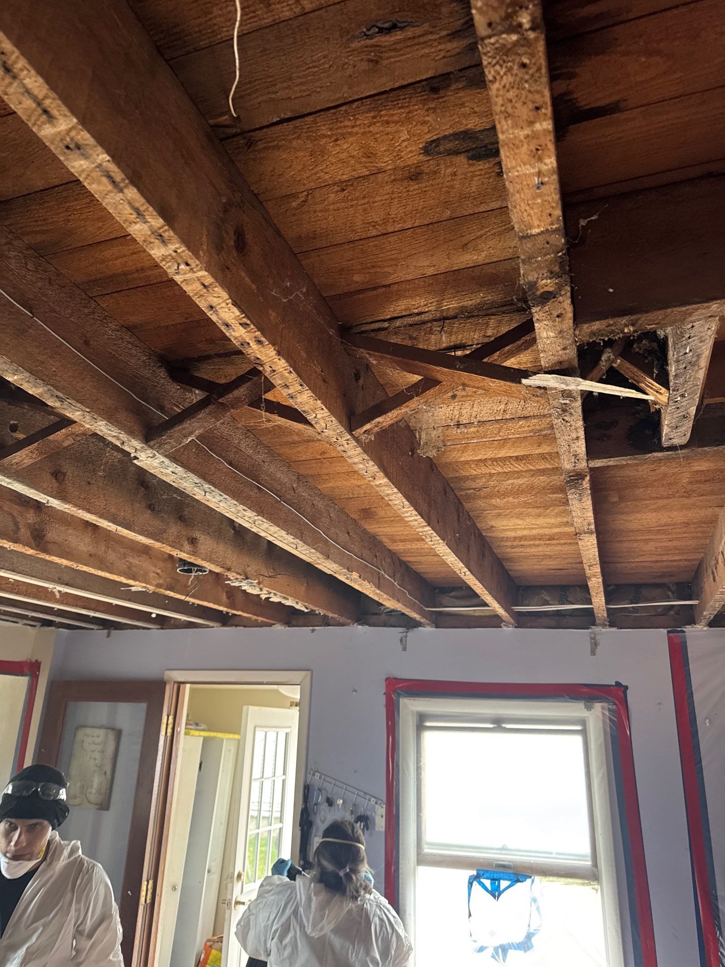 Comprehensive Mold Remediation and Kitchen Restoration in East Islip by Newhouse Restoration