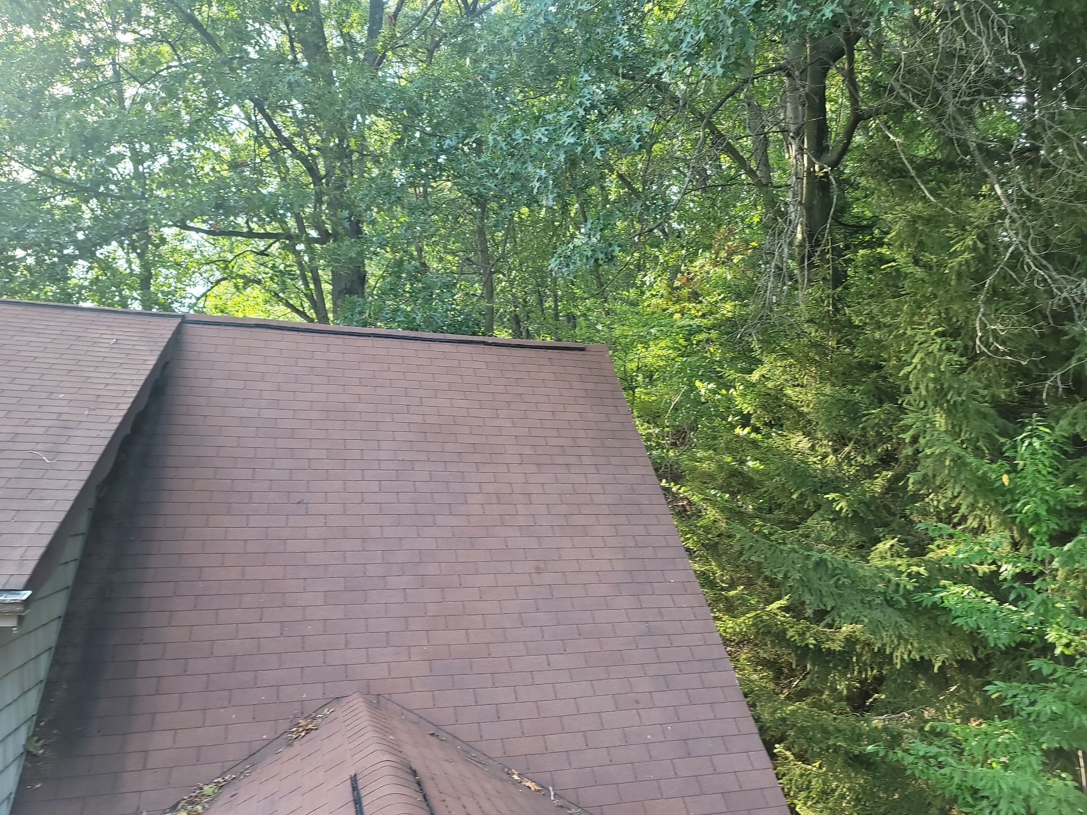 ATLAS PINNACLE COLOR: BURNT HICKORY DRIP EDGE: MUSKET BROWN by Eagle Eye Roofing