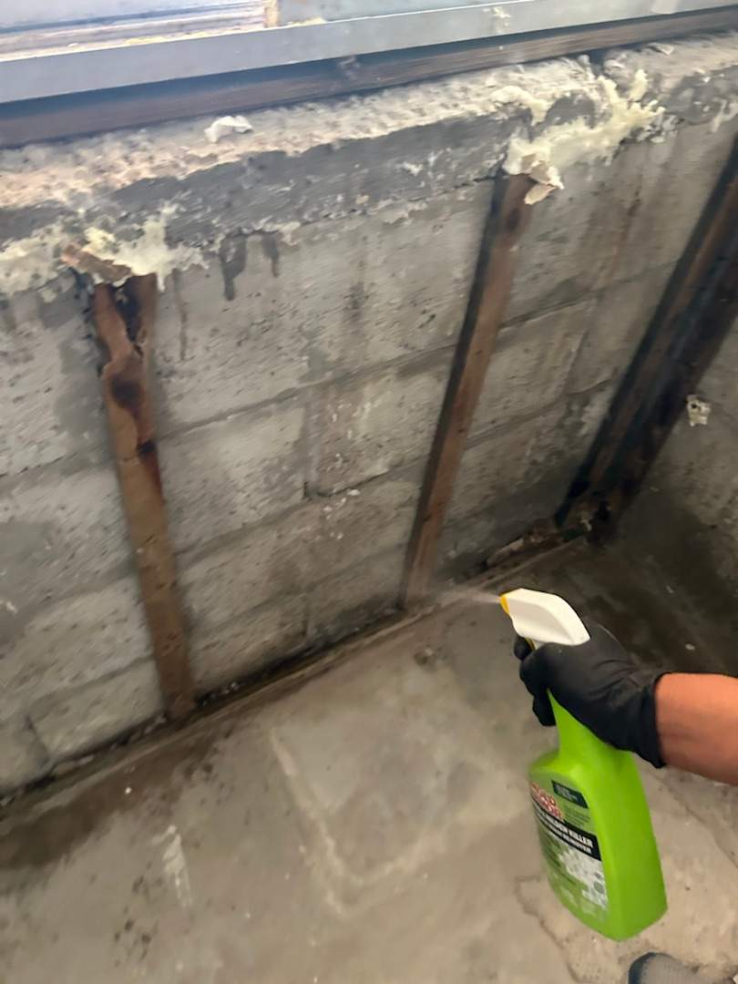 Project in Tamarac by You Restorations LLC DBA YOU-Home