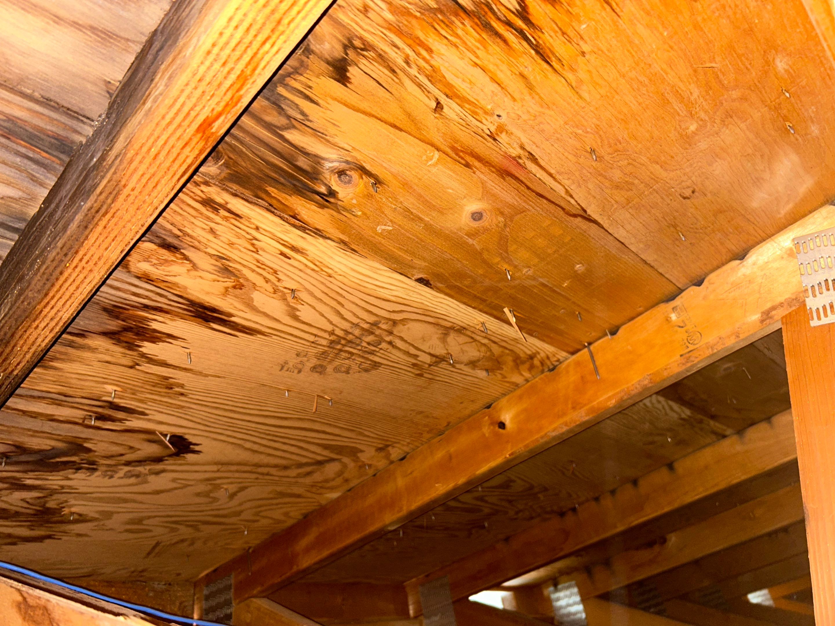 Roof Repair in Scappoose by Prodigy Roof Solutions