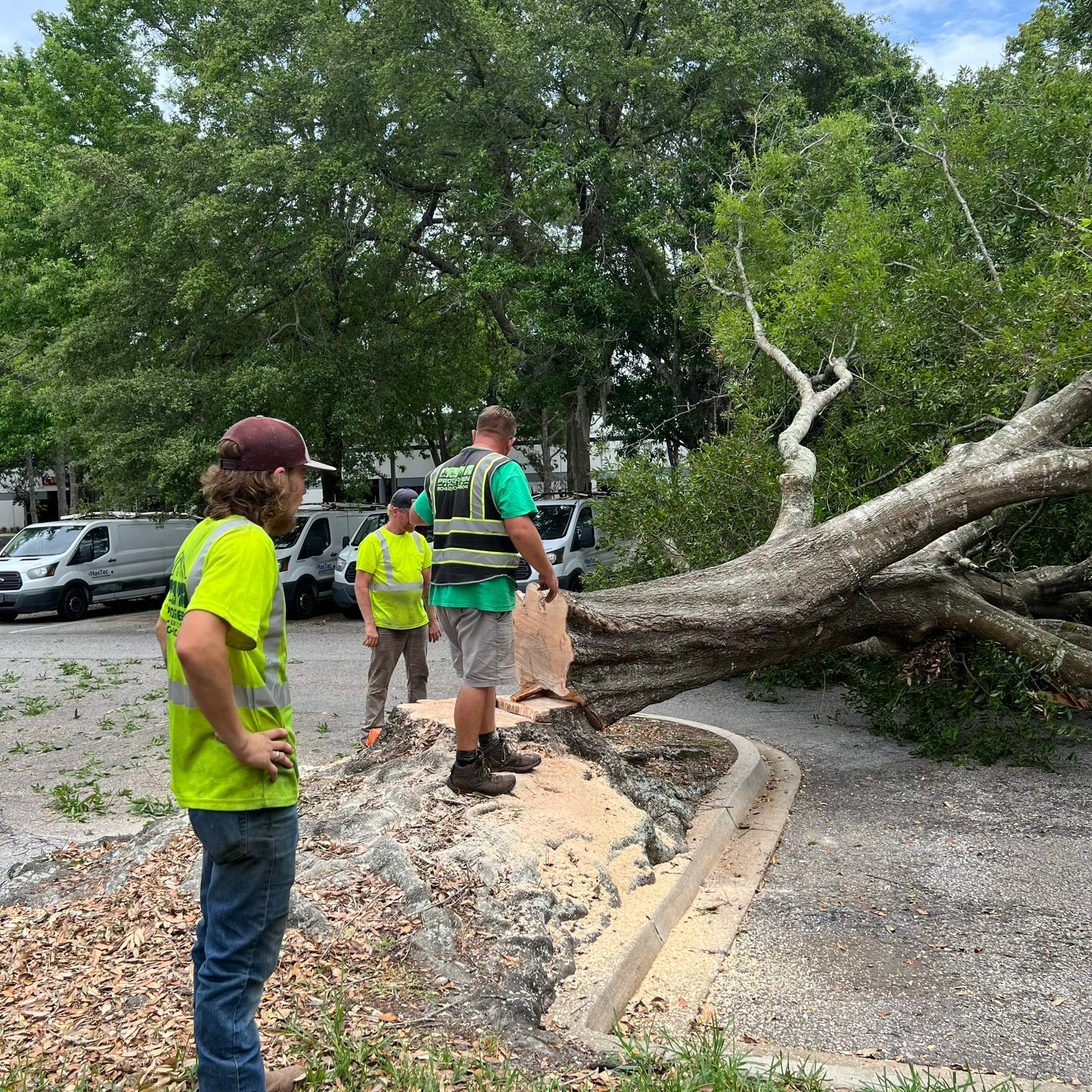 Tree Work | Center Point Business Complex by ProGreen Services