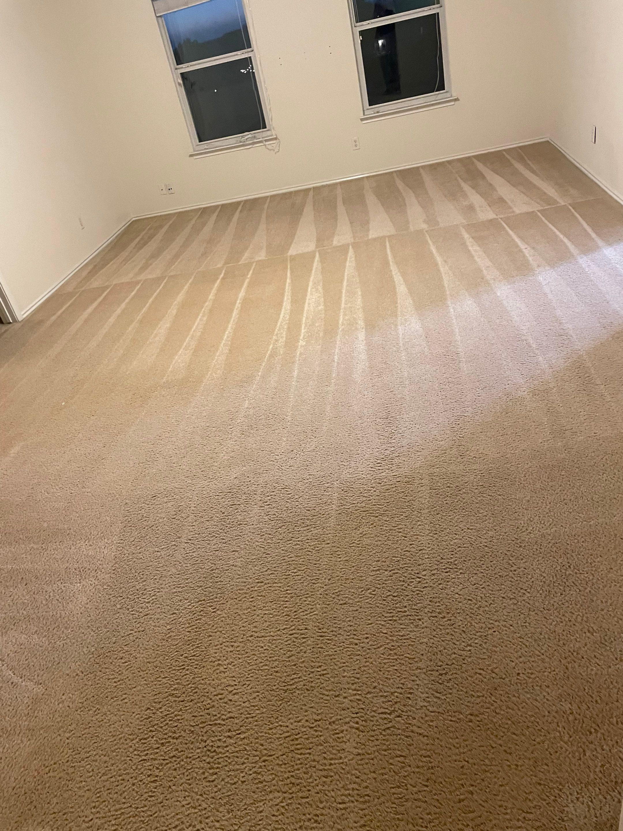 carpet cleaning company in san antonio cleaning and restoring a large carpeted room with visible clean lines