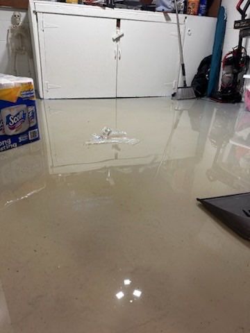 Project in Royal Oak by EzDry Water Mitigation & Property Restoration