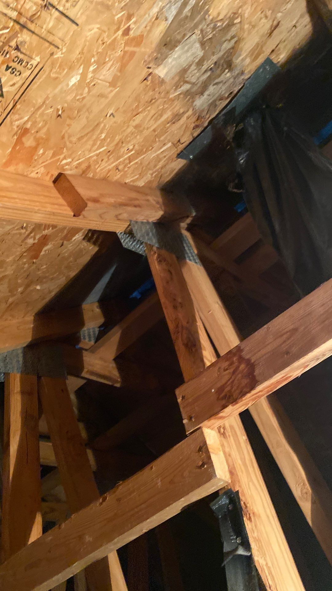 Broadlands: Residential Roof Replacement with CertainTeed Landmark Pro in Max Def Pewterwood by RM Banning, Inc.