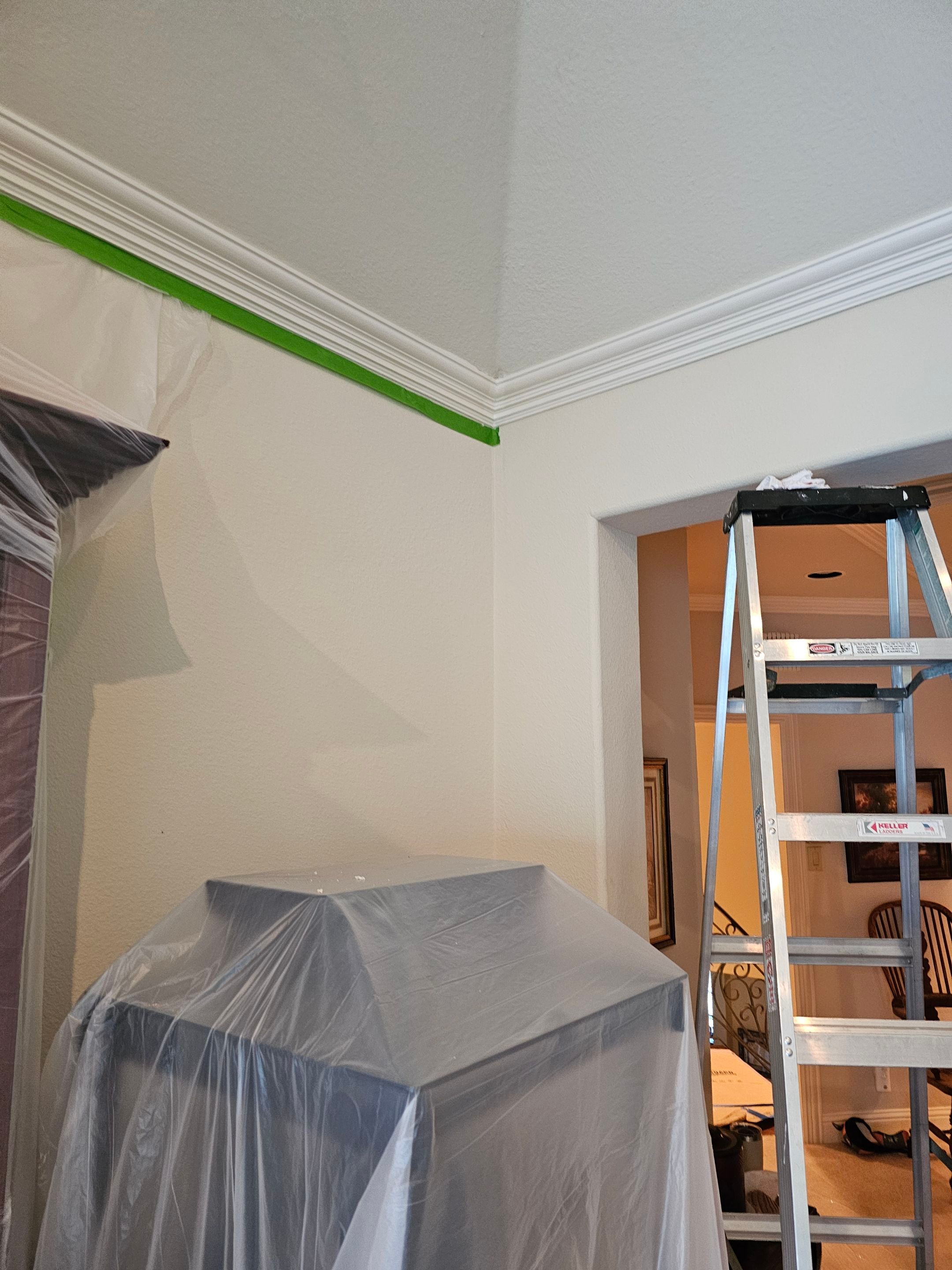 Exterior & interior paint, Garage door repairs, roof replacement & leak repairs by EL-GC LLC 