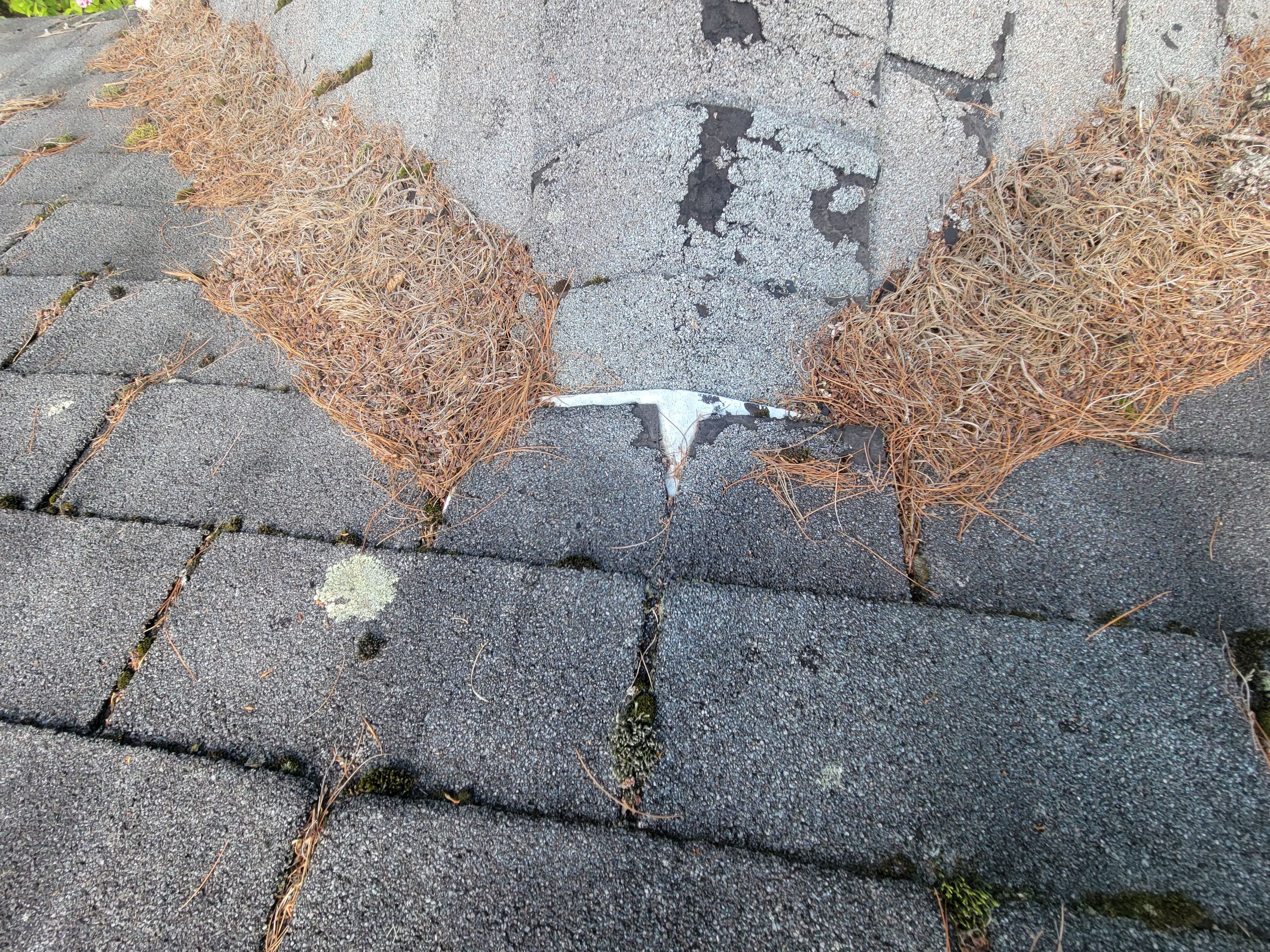 New Metal Roof using All Thats Metal 29g Currigated by The B.A.R Roofing
