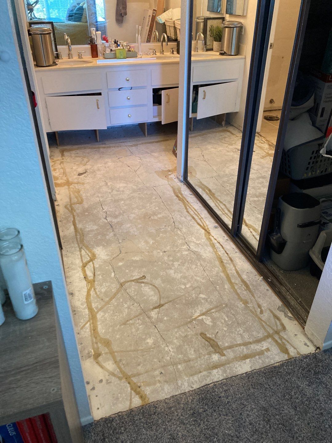 Replace Carpet with LVP by Andre Handyman