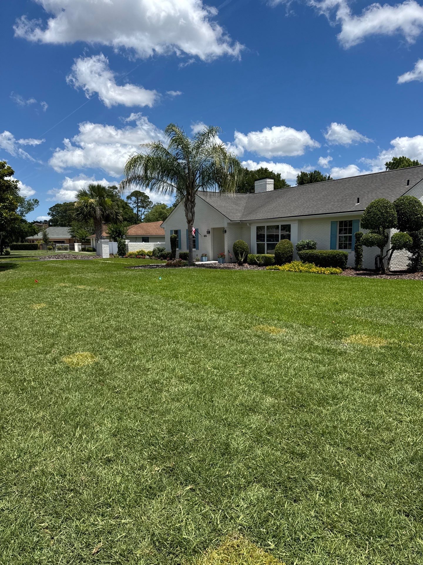 Deerwood Resident | Sod Install by ProGreen Services