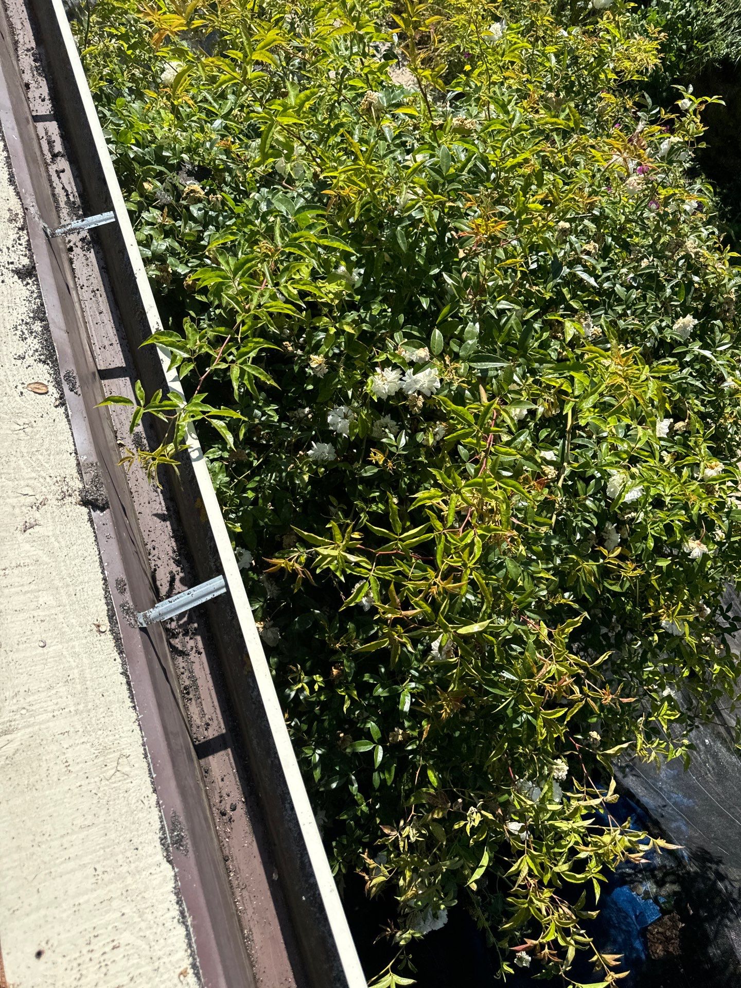 Residential Roofing Installation using GAF Timberline HDZ RS by Sustainable Living Builders, Inc.