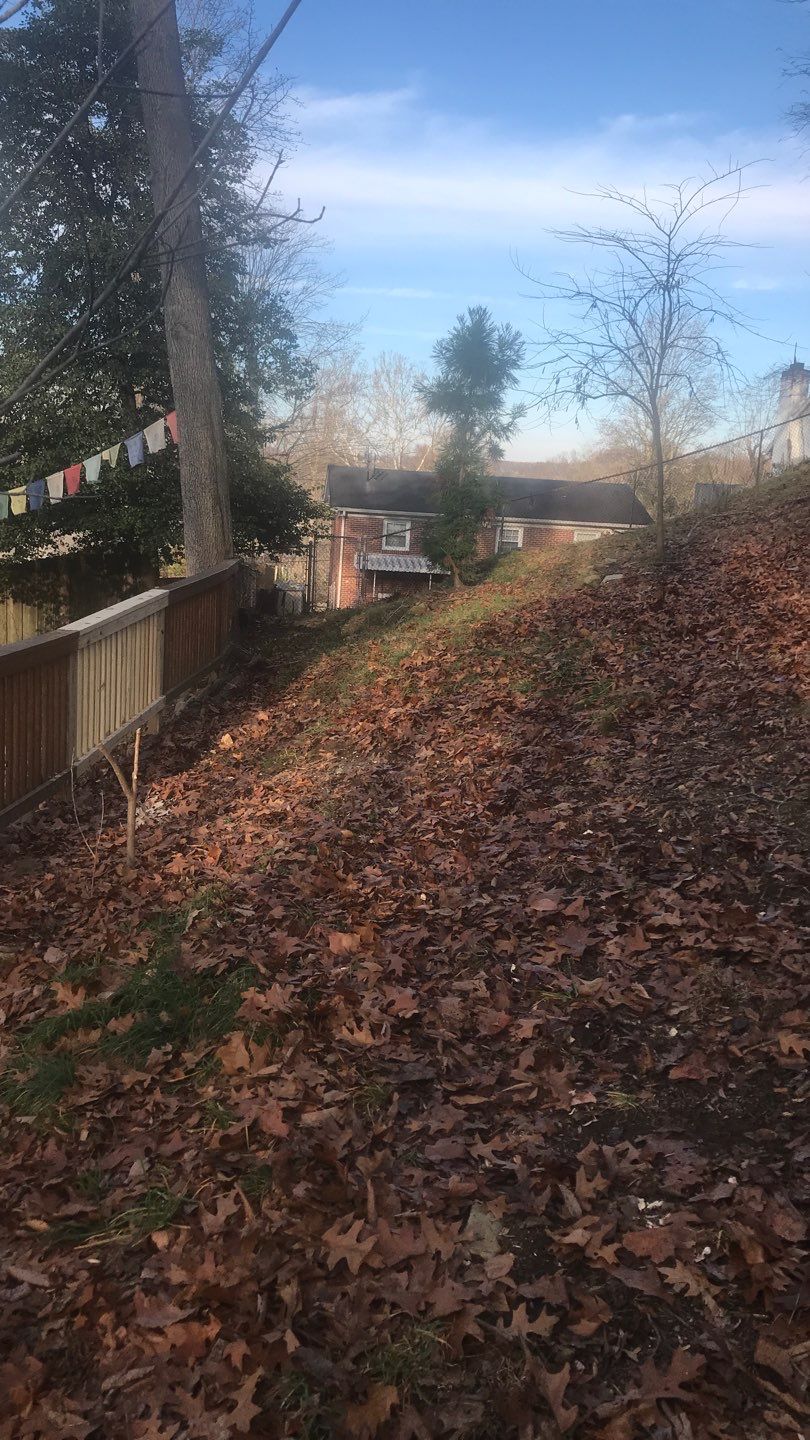 Fence Repair using Pressure Treated Lumber by Secure Construction Company Inc
