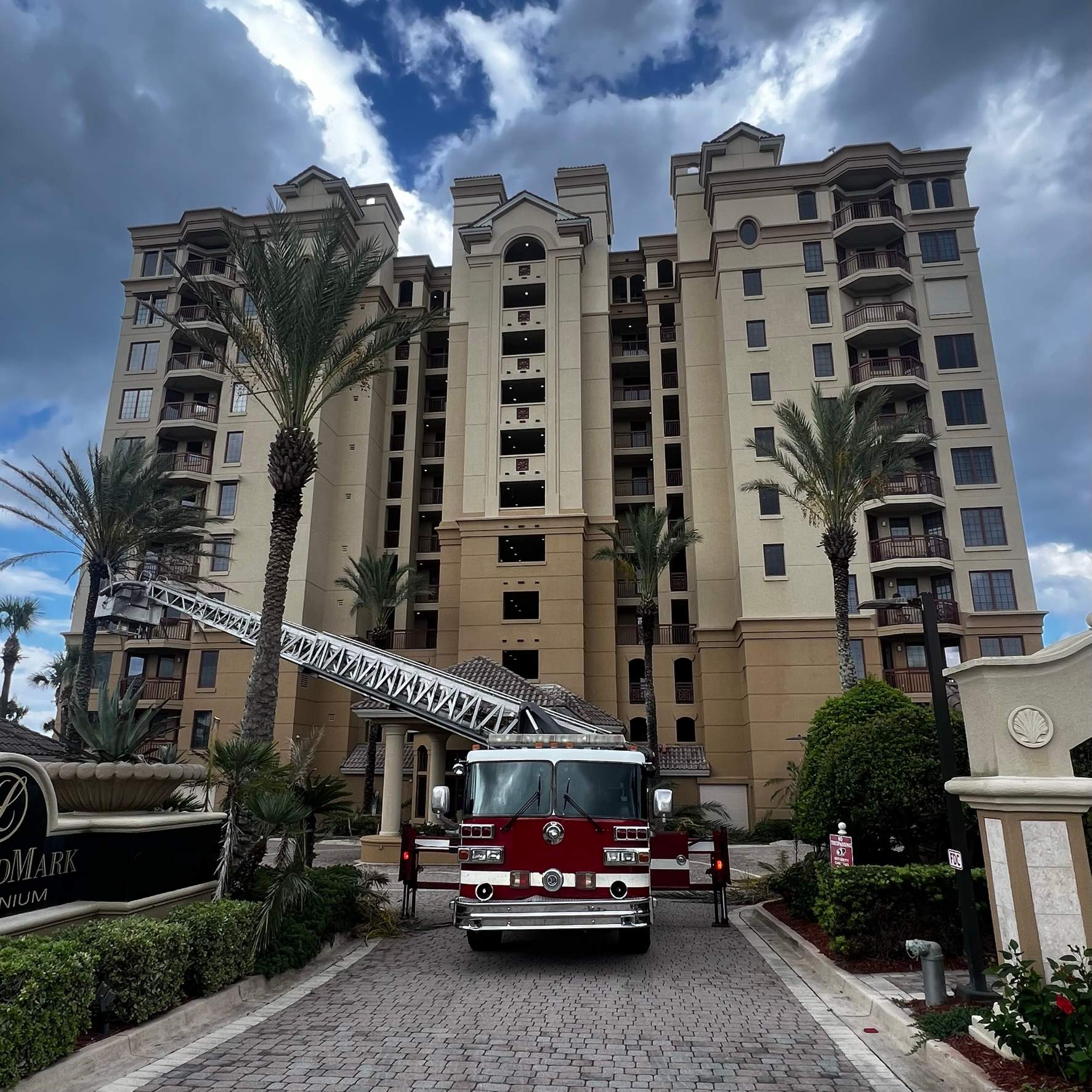 Palm Trimming | Landmark Condominiums by ProGreen Services