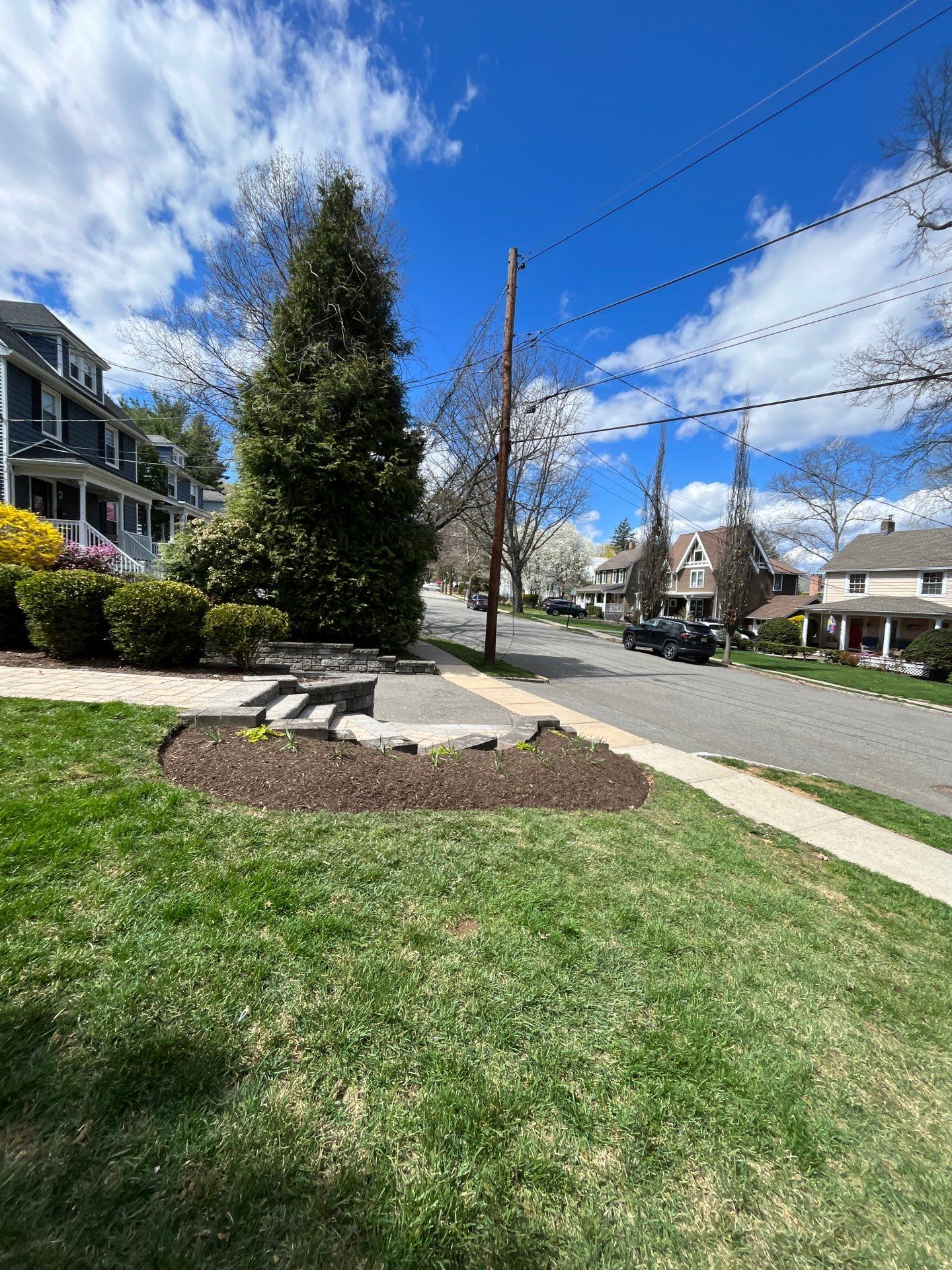 Comprehensive Lawn Care and Aeration and Seeding in Chatham by Ants Plants