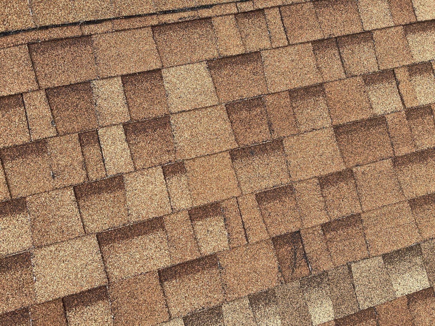 Jenna's Re-Roof and Ridge Vents by All Storm Roofing & Construction