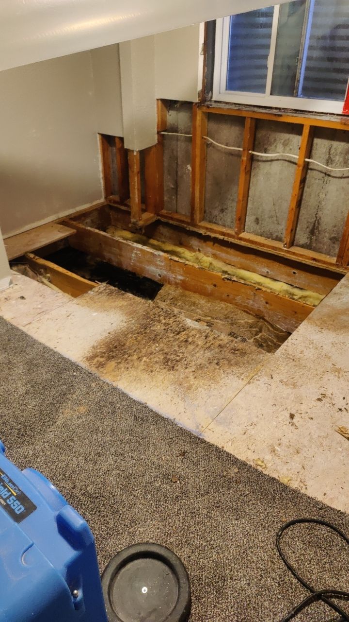 Water Damage Restoration by Accountable Home Services