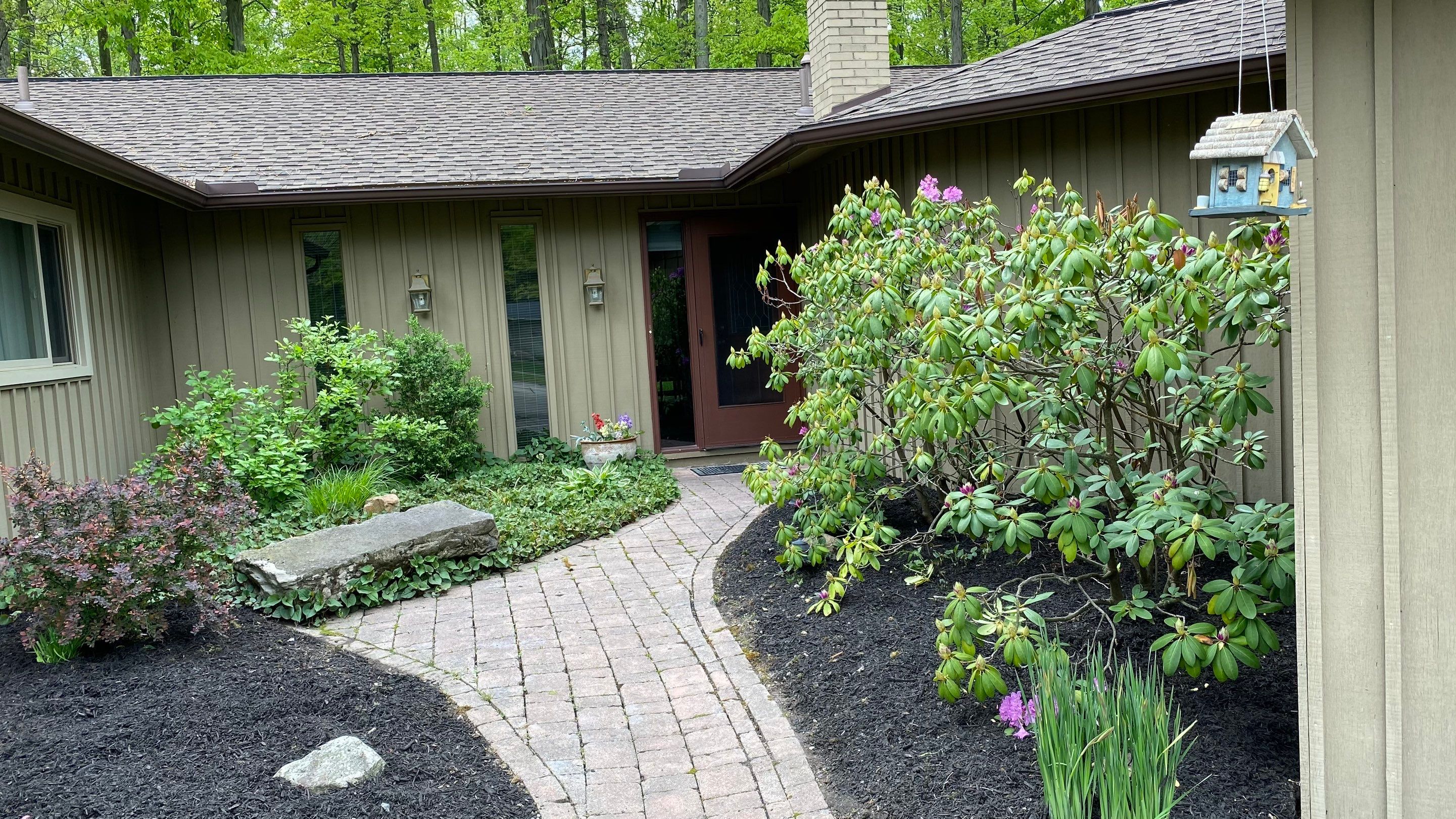 Mid-Century Woodland Project by Elm Rose Gardens