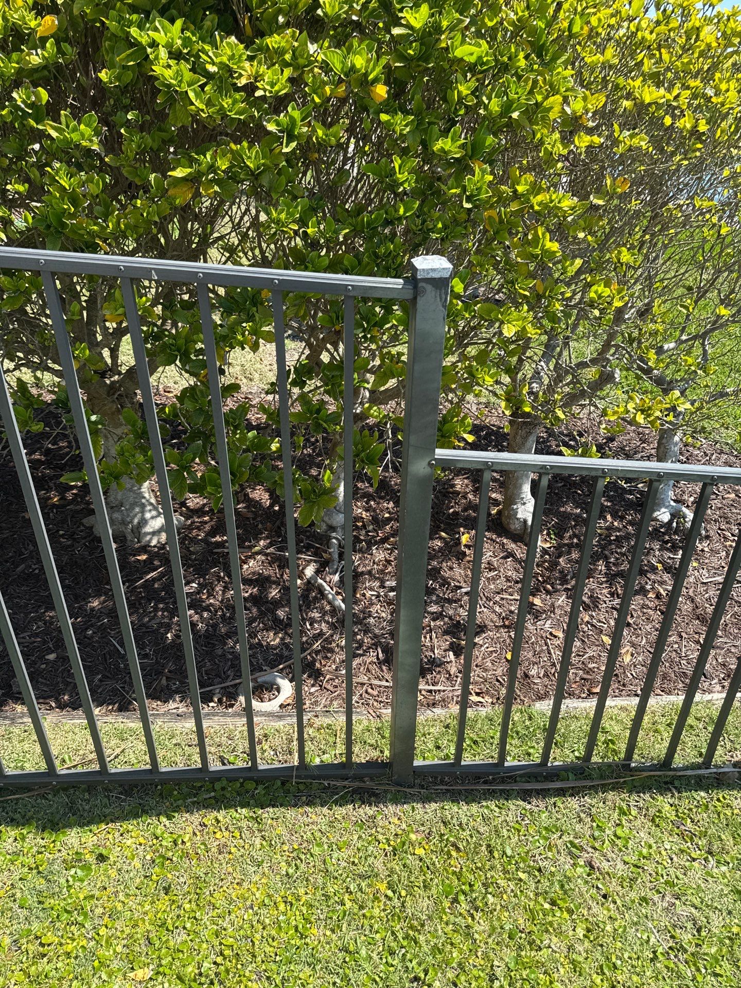 590 Birdie Ln  by H&Y Fence