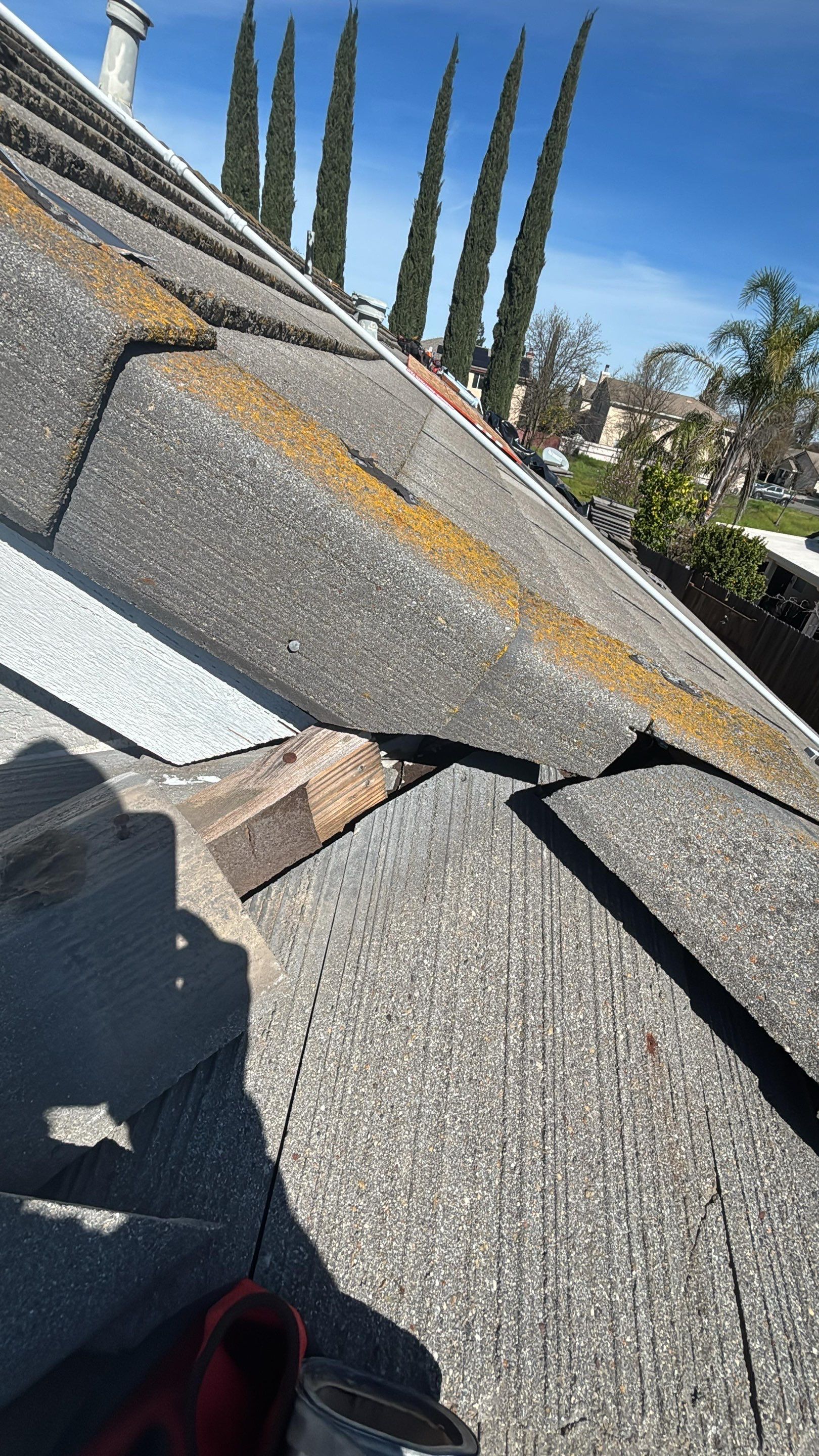 Project in Elk Grove  by NuLead Construction Inc