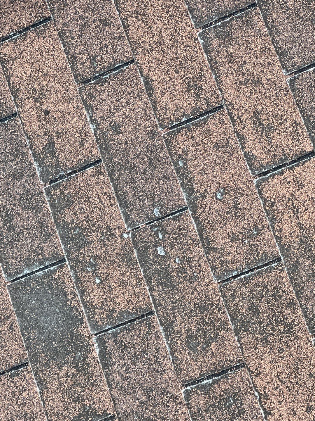 Autumn Brown Shingles by Reimagine Roofing