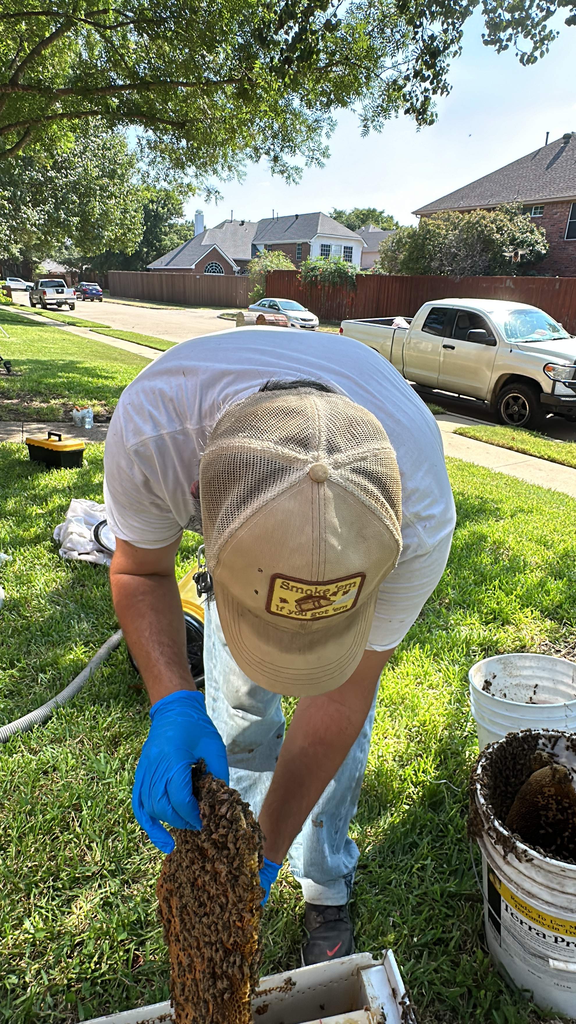 Extra High Up by Rockwall Honey Bee Company