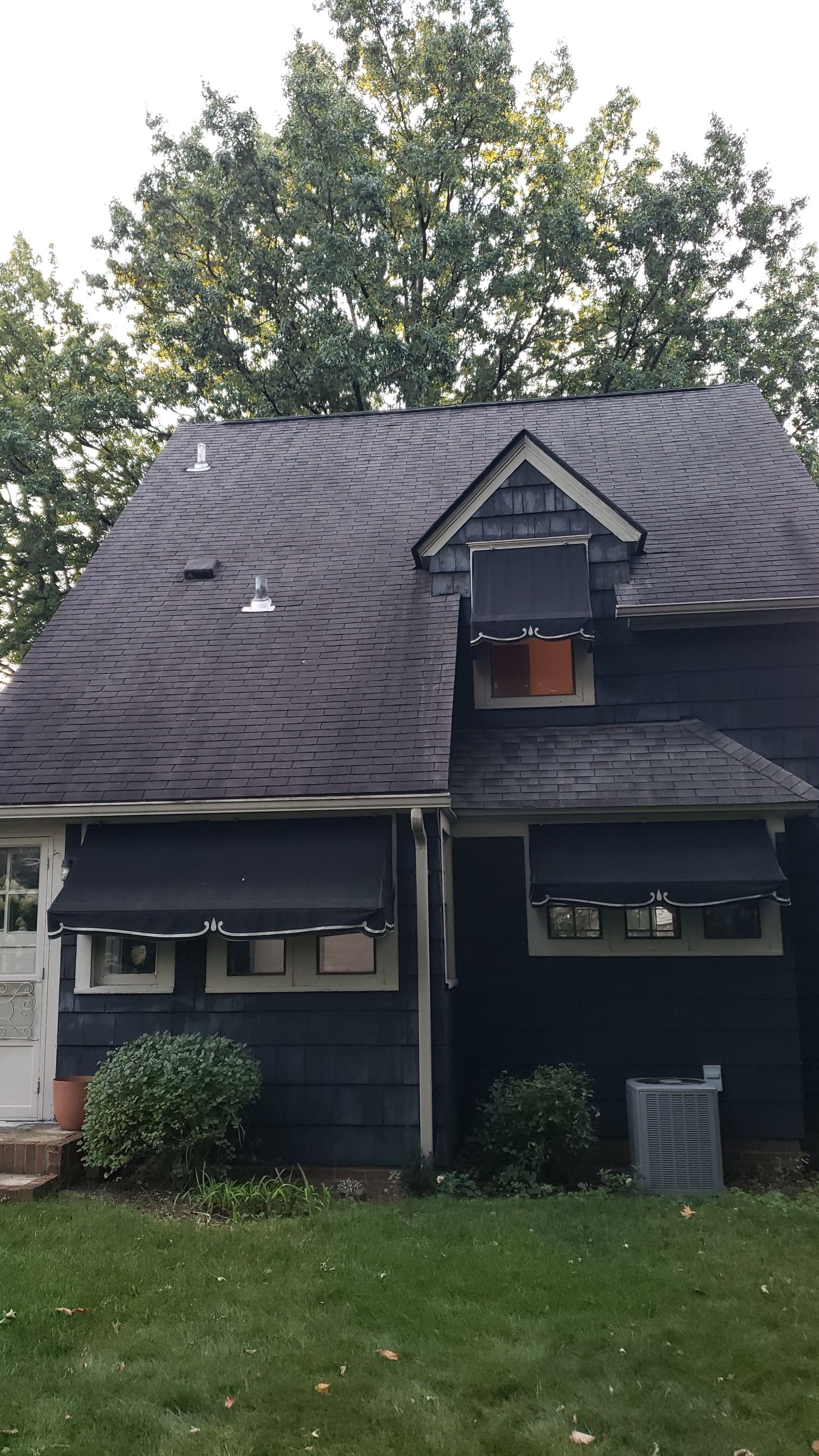 Atlas Pinnacle Pristine Scotchgard: Black Drip Edge: Black by Eagle Eye Roofing