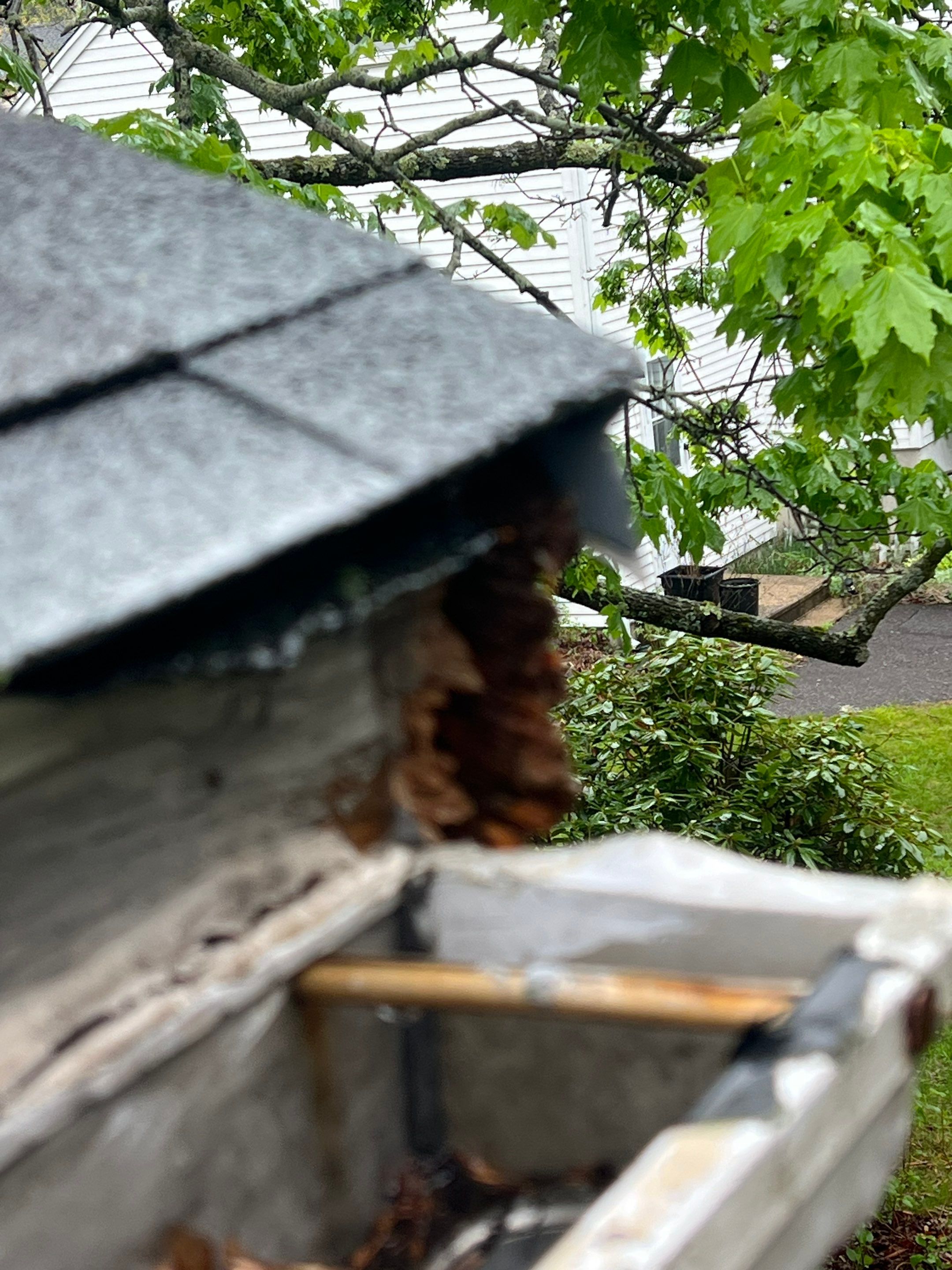 Gutters & Roofing | Acton by Mighty Dog Roofing of Greater Middlesex County
