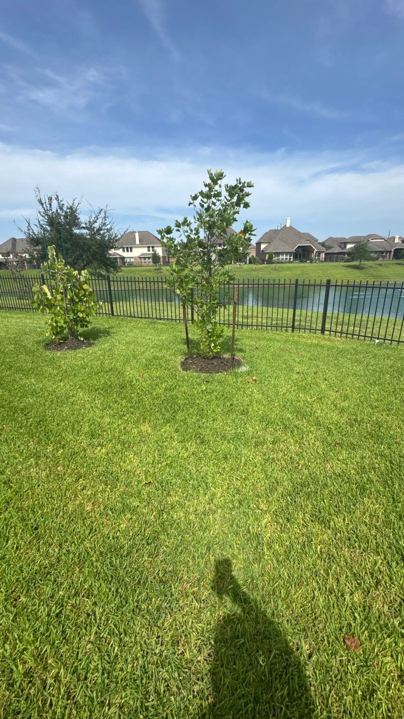 🌿 Mr. Ken’s Front Yard Flower Bed Enhancement by Texas Urban Elements