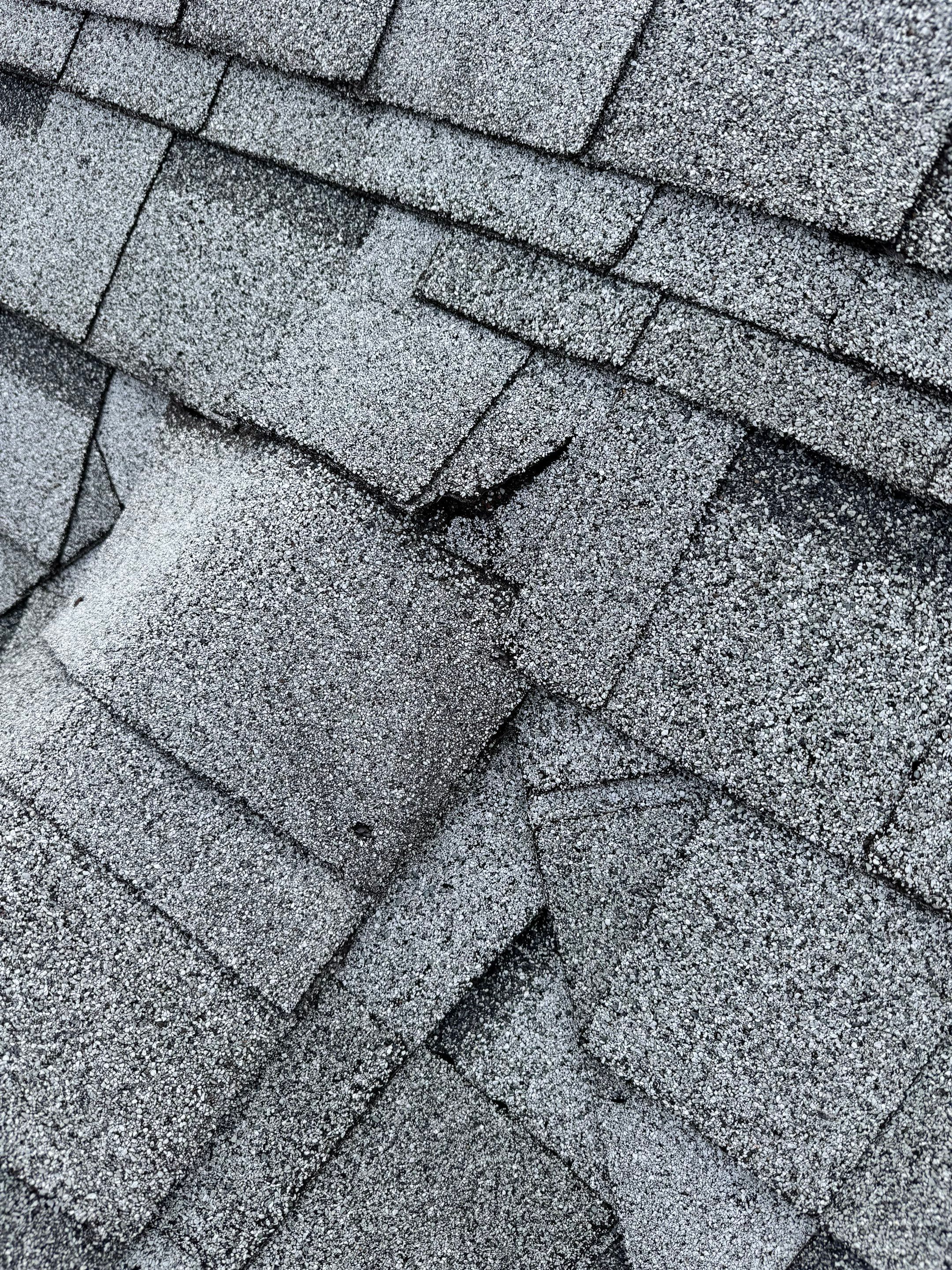 Tyee Roofing Replacement  by Tyee Construction Corp